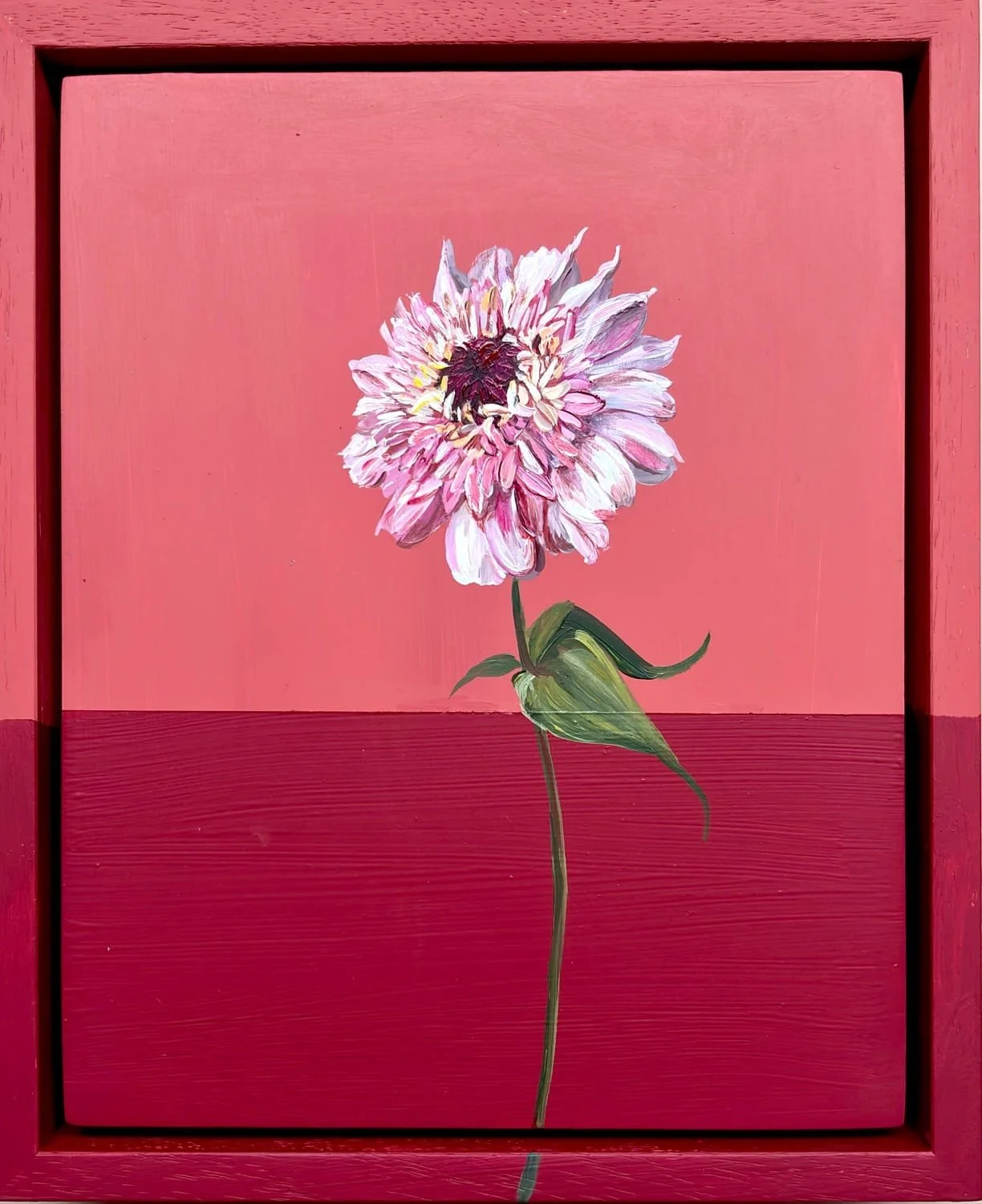 Solstice Zinnia