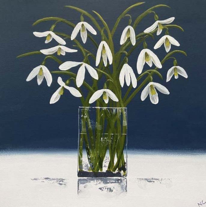 Moonlit Snowdrops