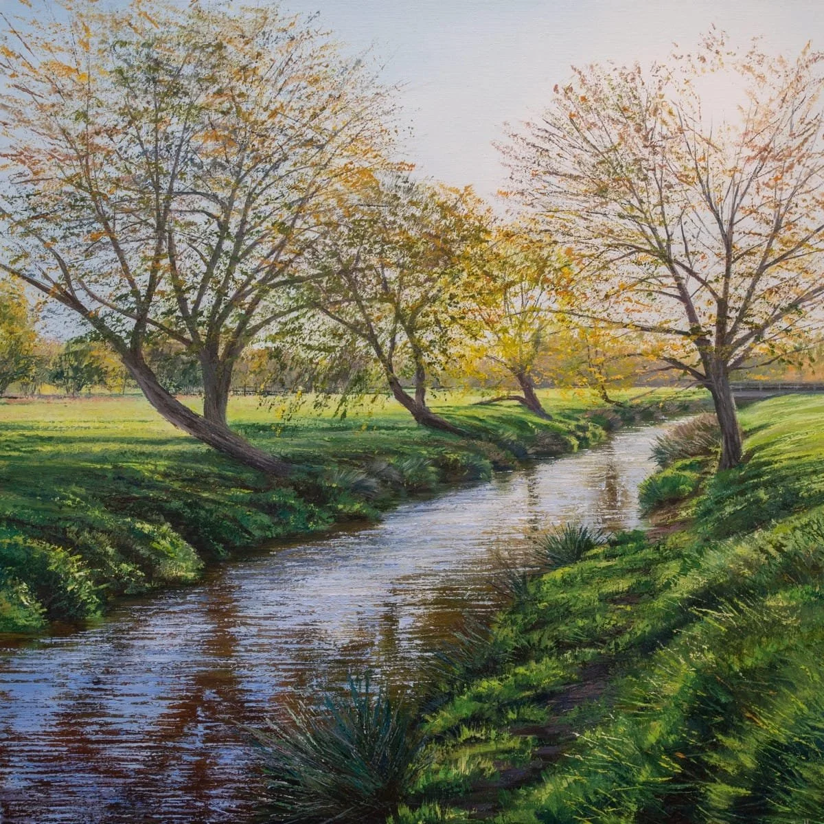 Autumn Morning,  Richmond Park