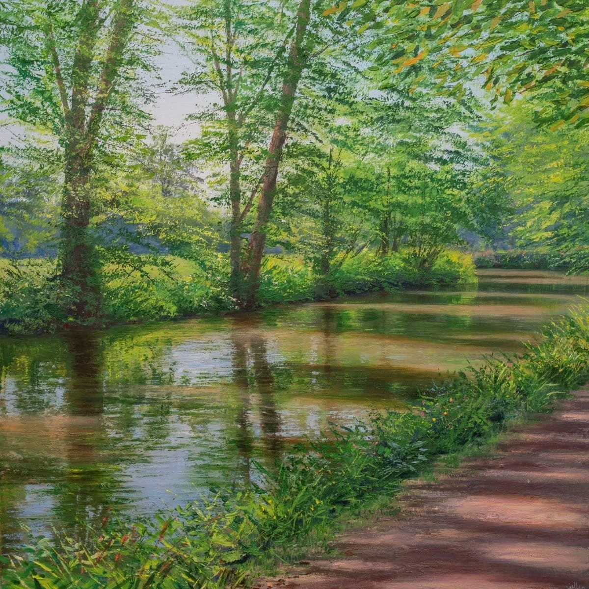 Reflections of  Summer