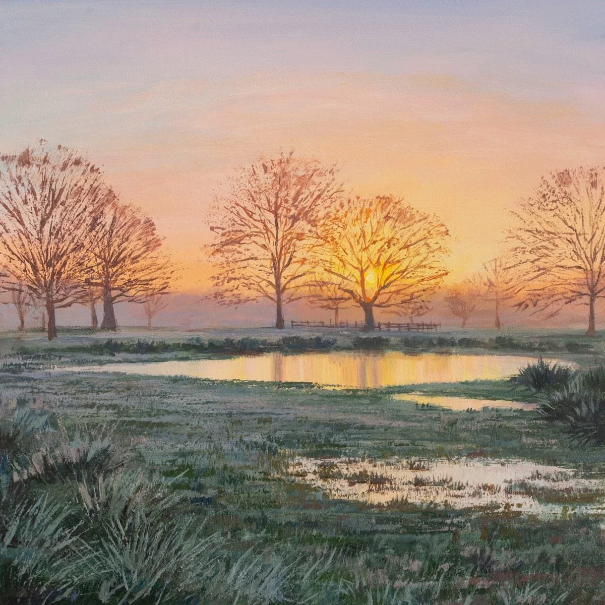 Winter Sunrise,  Richmond Park