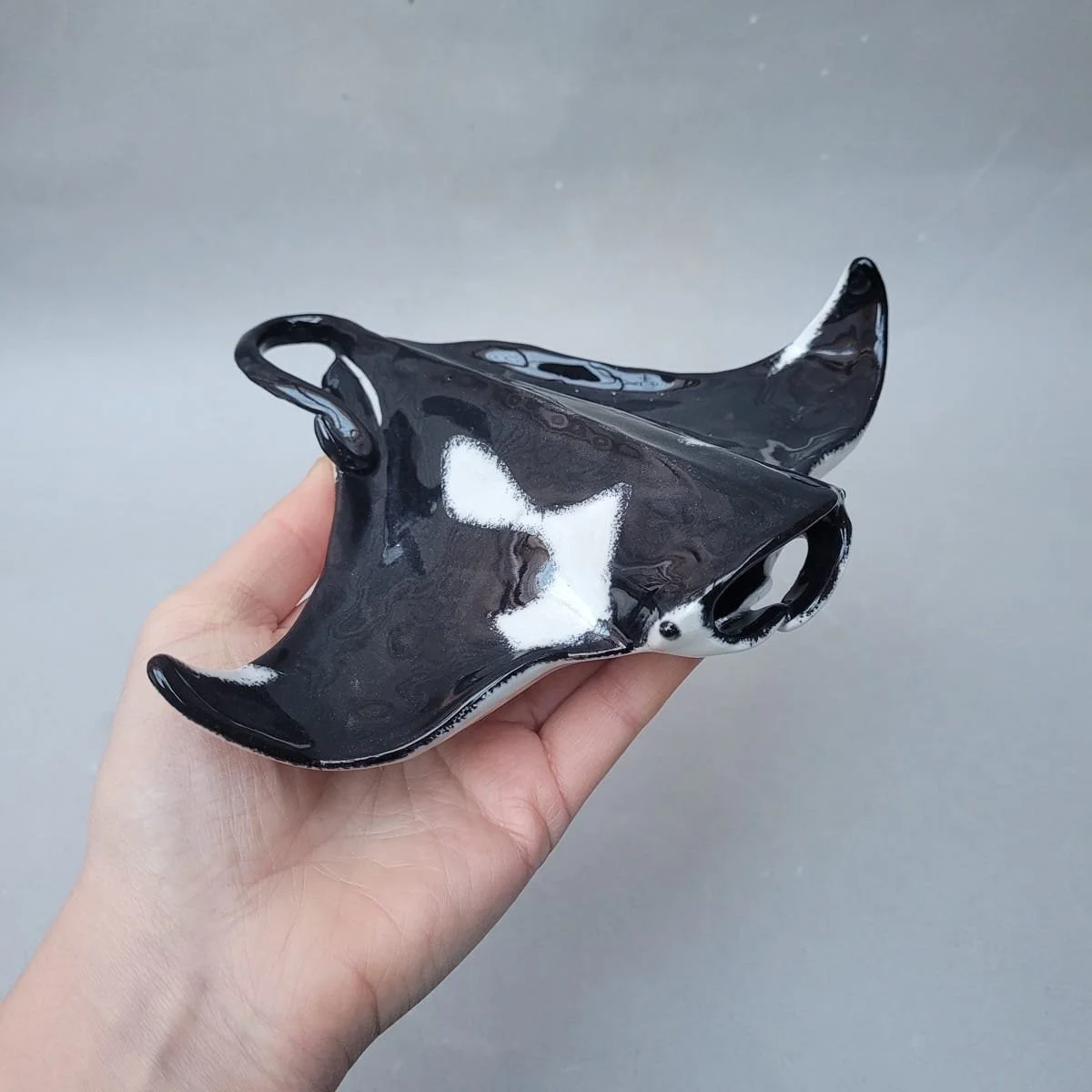 Manta Ray