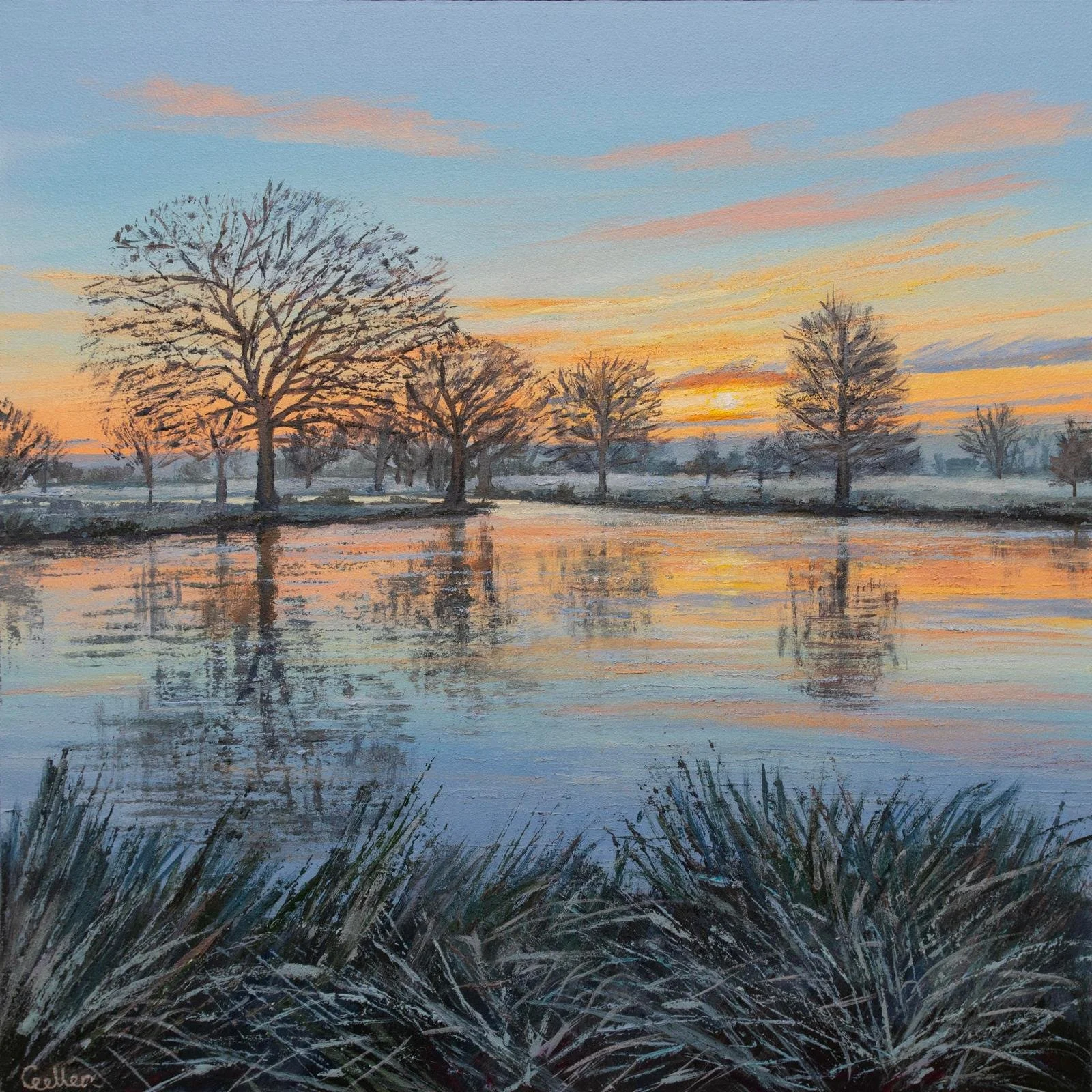 Dawn Lake, Richmond Park