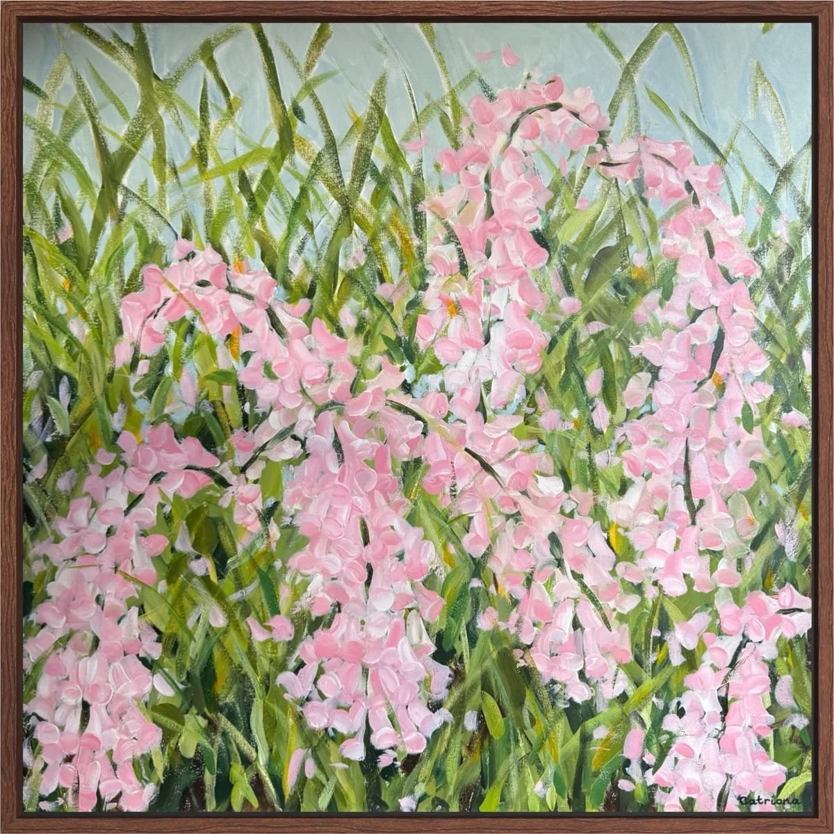 Pink Foxies