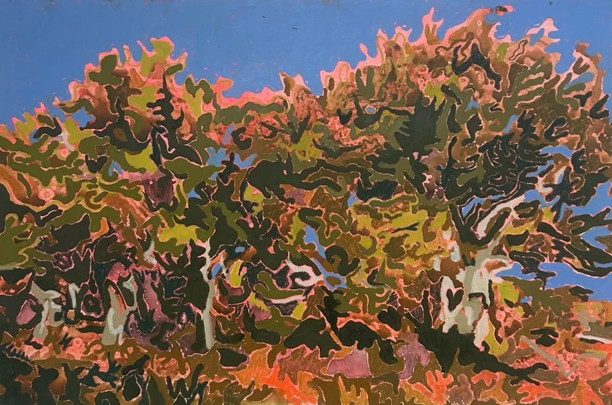New Forest at Golden Hour II