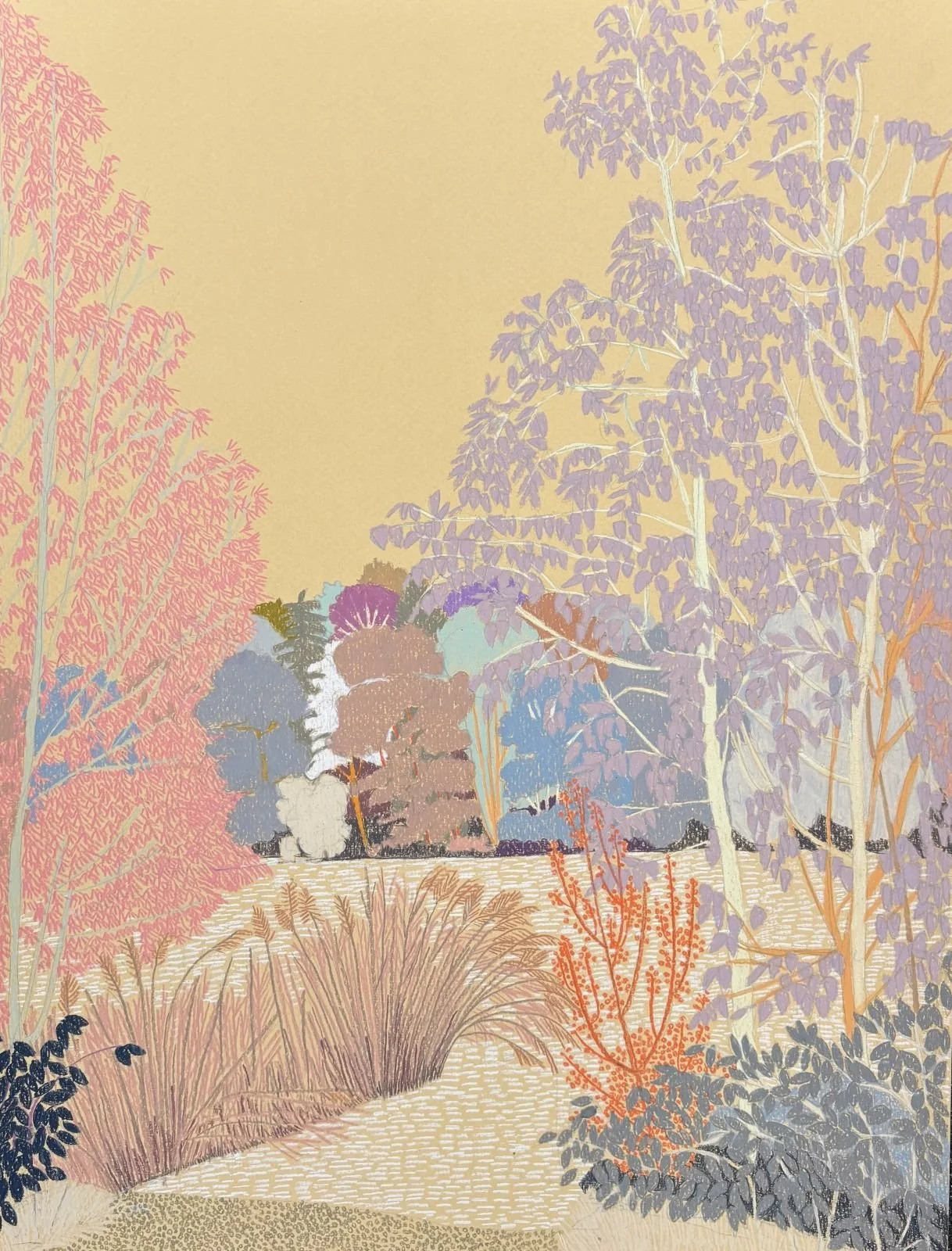 Clare Halifax