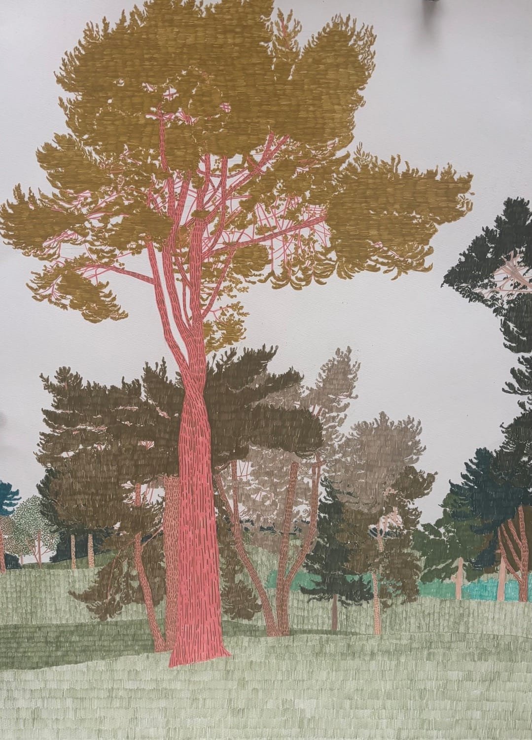 Tall Trees at Tatton Park Study 1