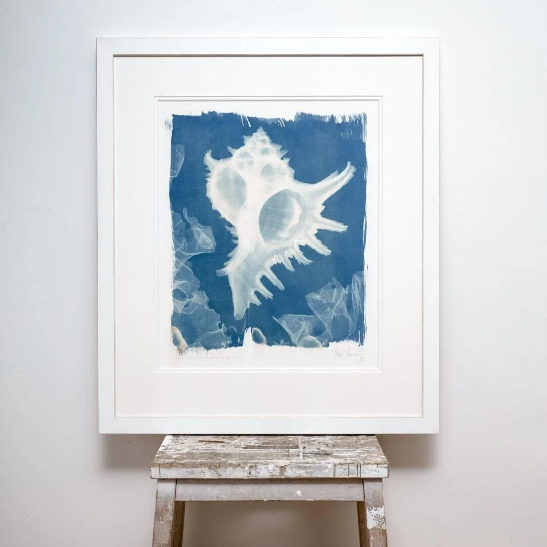 hugh-turvey-x-ray-cyanotype-print-ad-lib-gallery-wimbledon-4.jpg