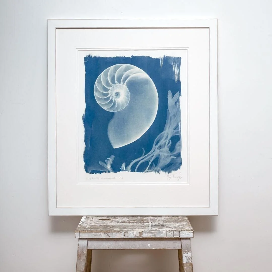 hugh-turvey-x-ray-cyanotype-print-ad-lib-gallery-wimbledon-2.jpg