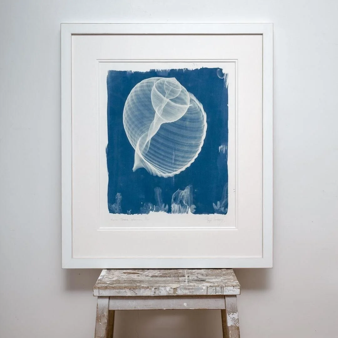 hugh-turvey-x-ray-cyanotype-print-ad-lib-gallery-wimbledon-3.jpg