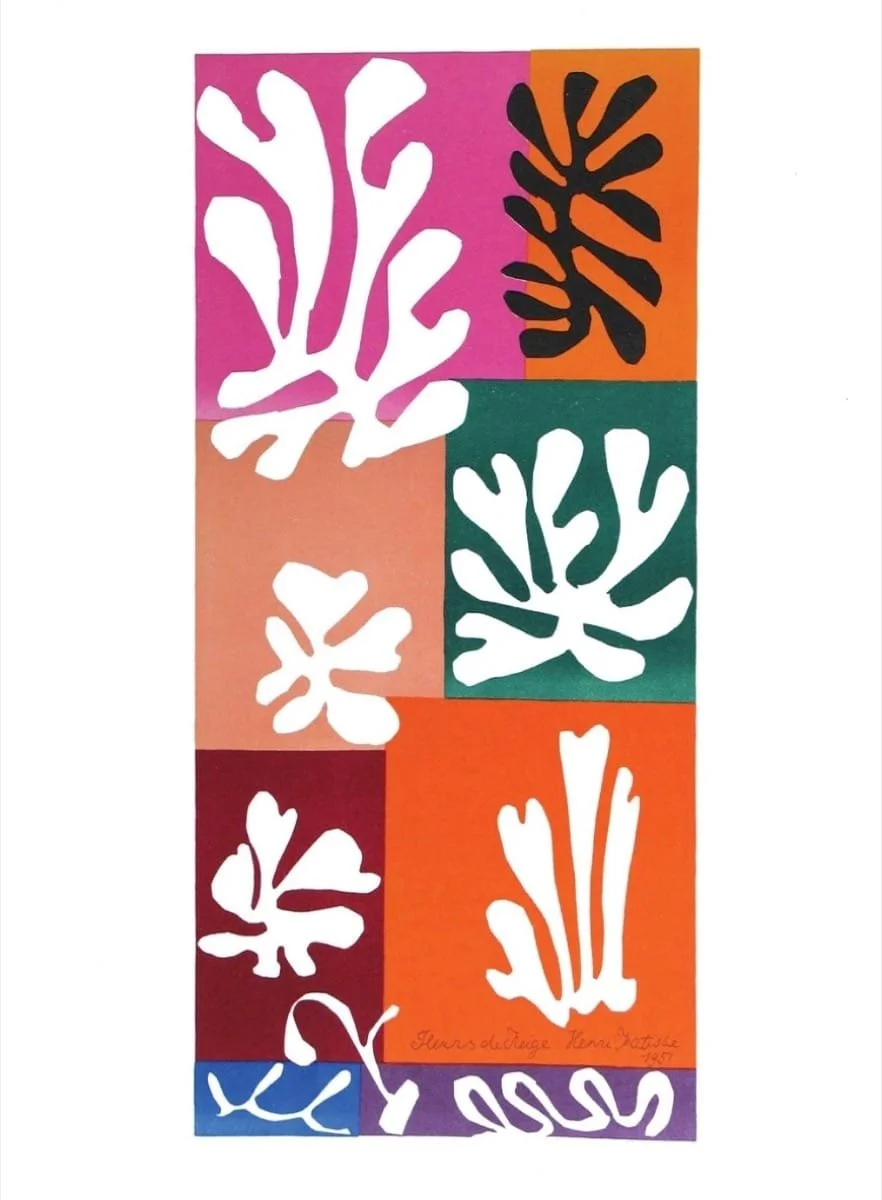 Fleurs de Neige, 1954