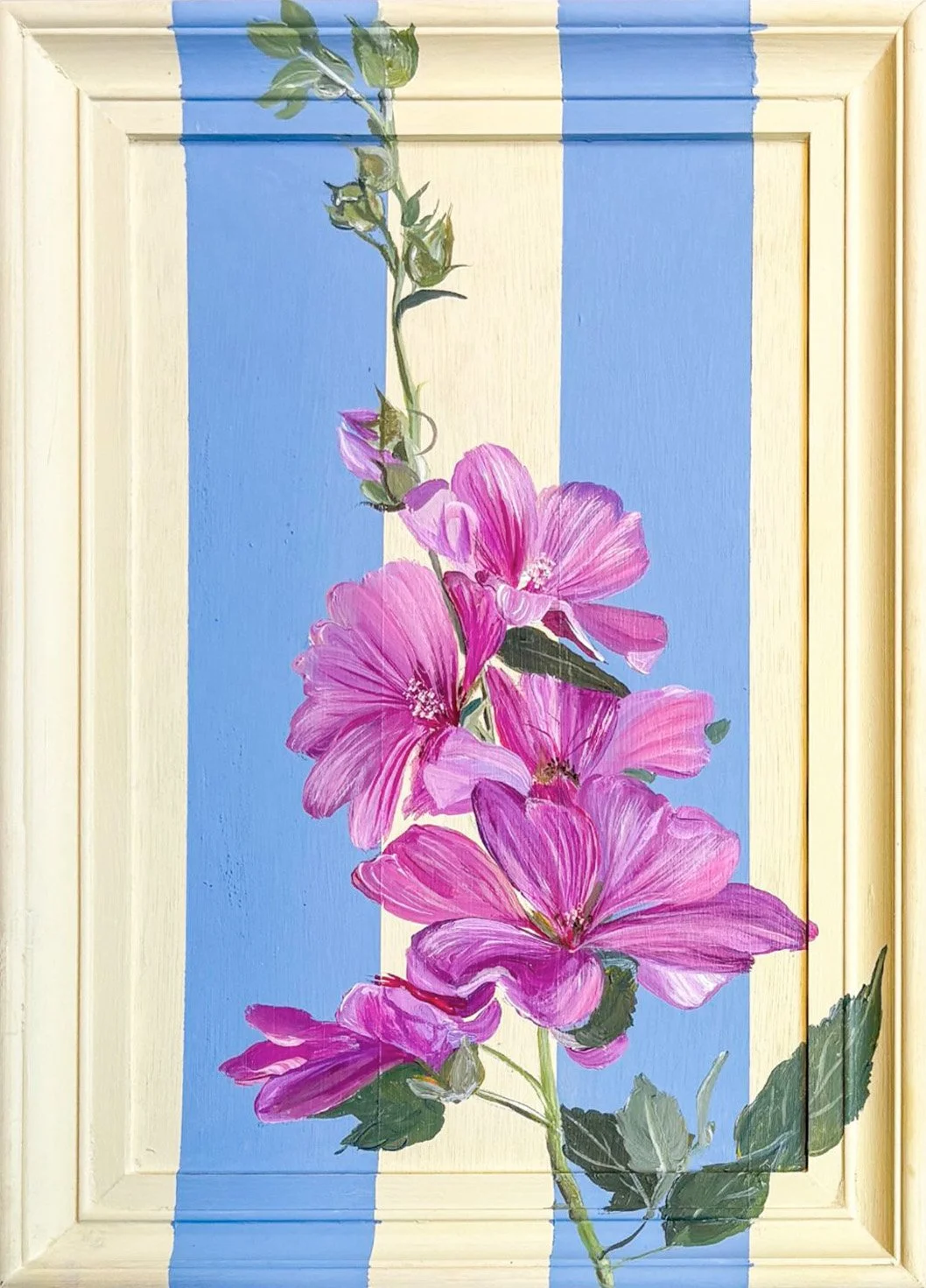 Wild Mallow