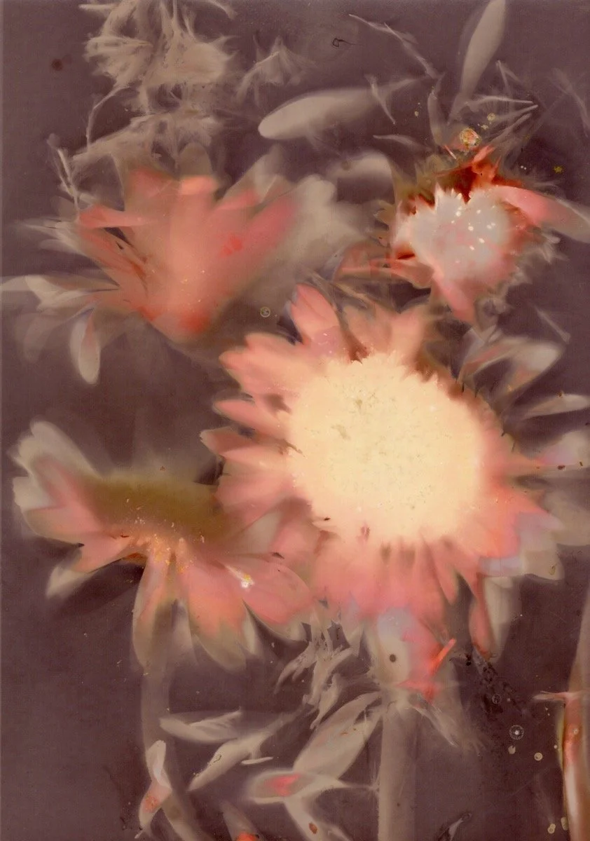 KBLUMEN 2.jpg