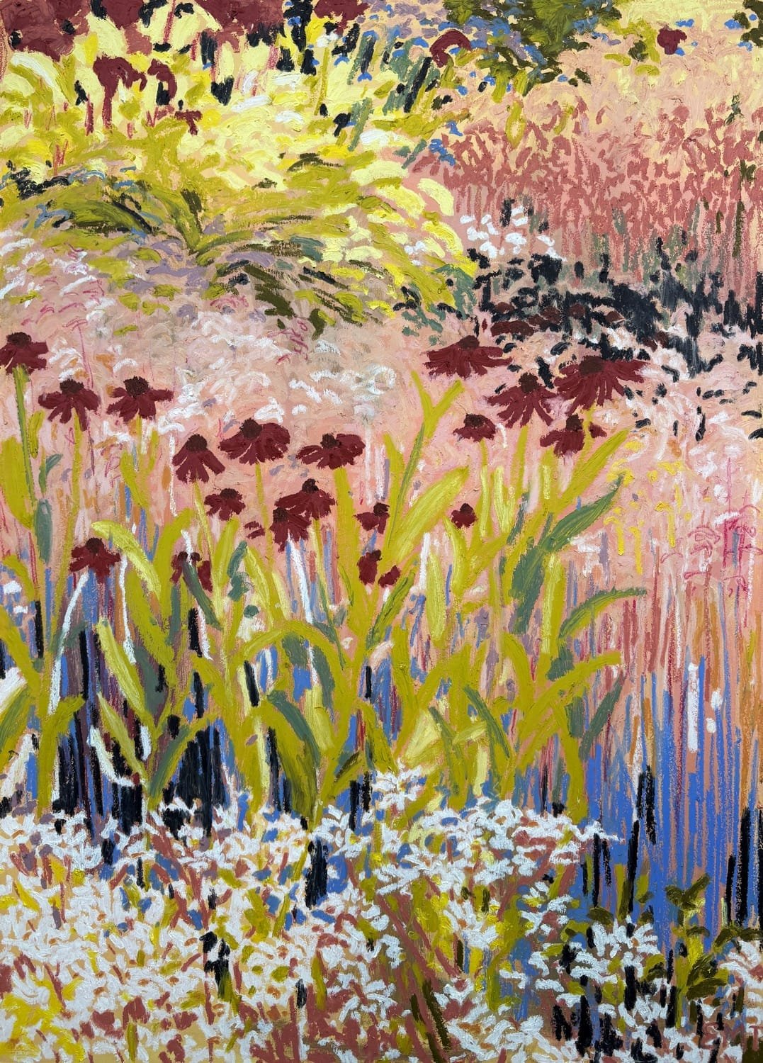 Grasses and Red Coneflower