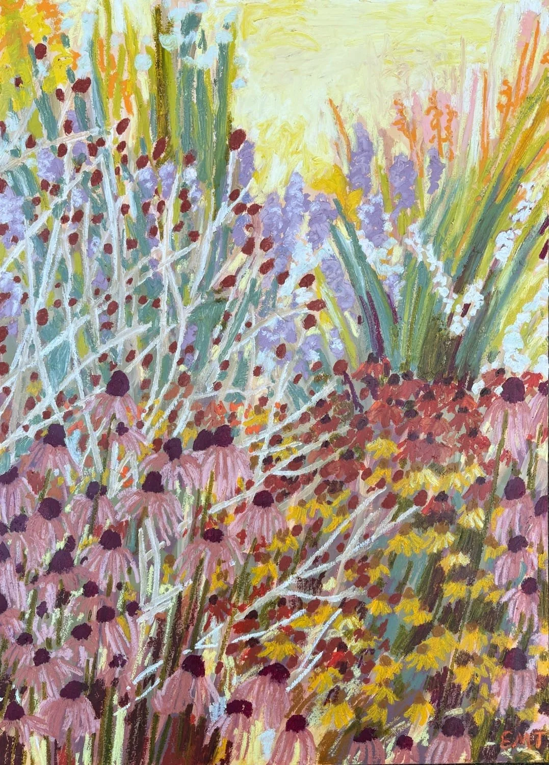 Pink and Orange Coneflowers