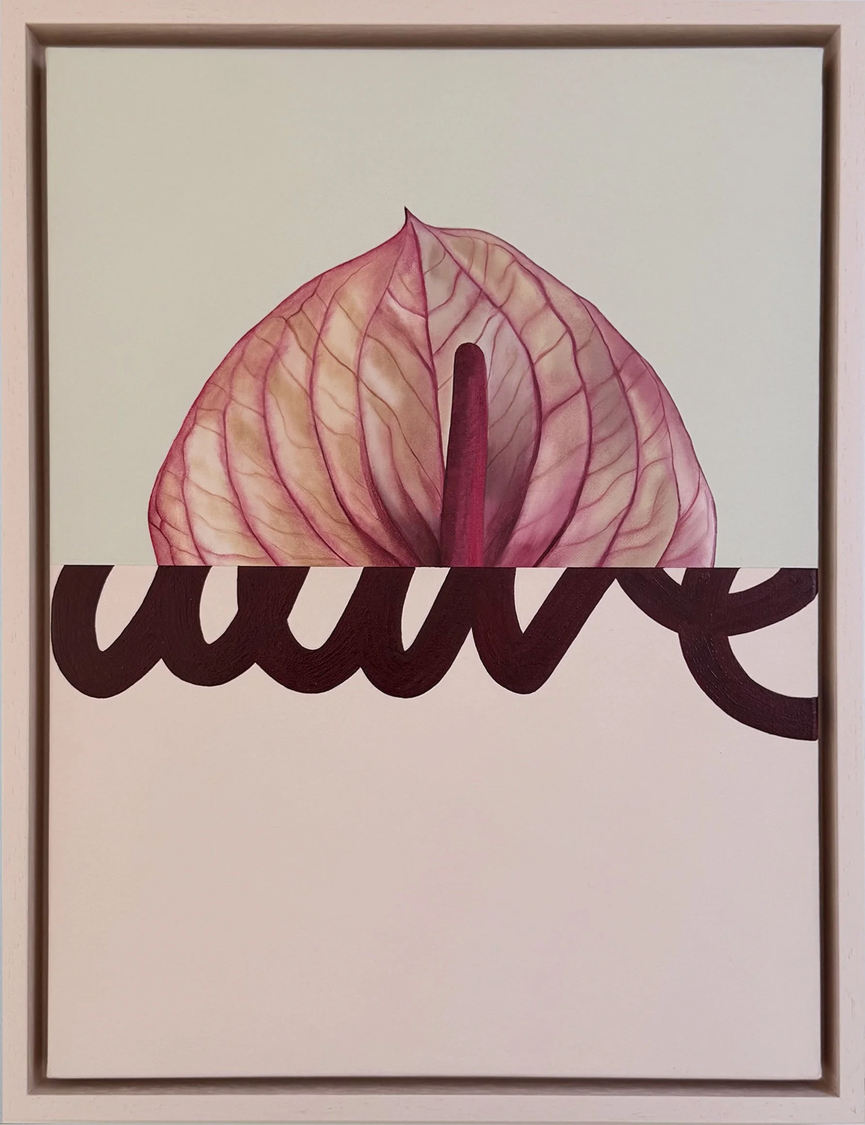 Living Anthurium