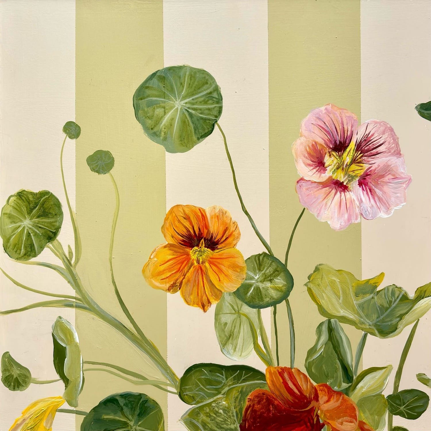 Mixed Nasturtium, by Nay Bellamy