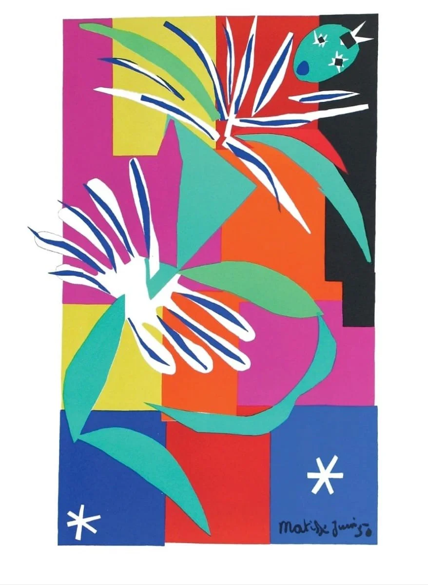 Matisse - The Poetry of Colour