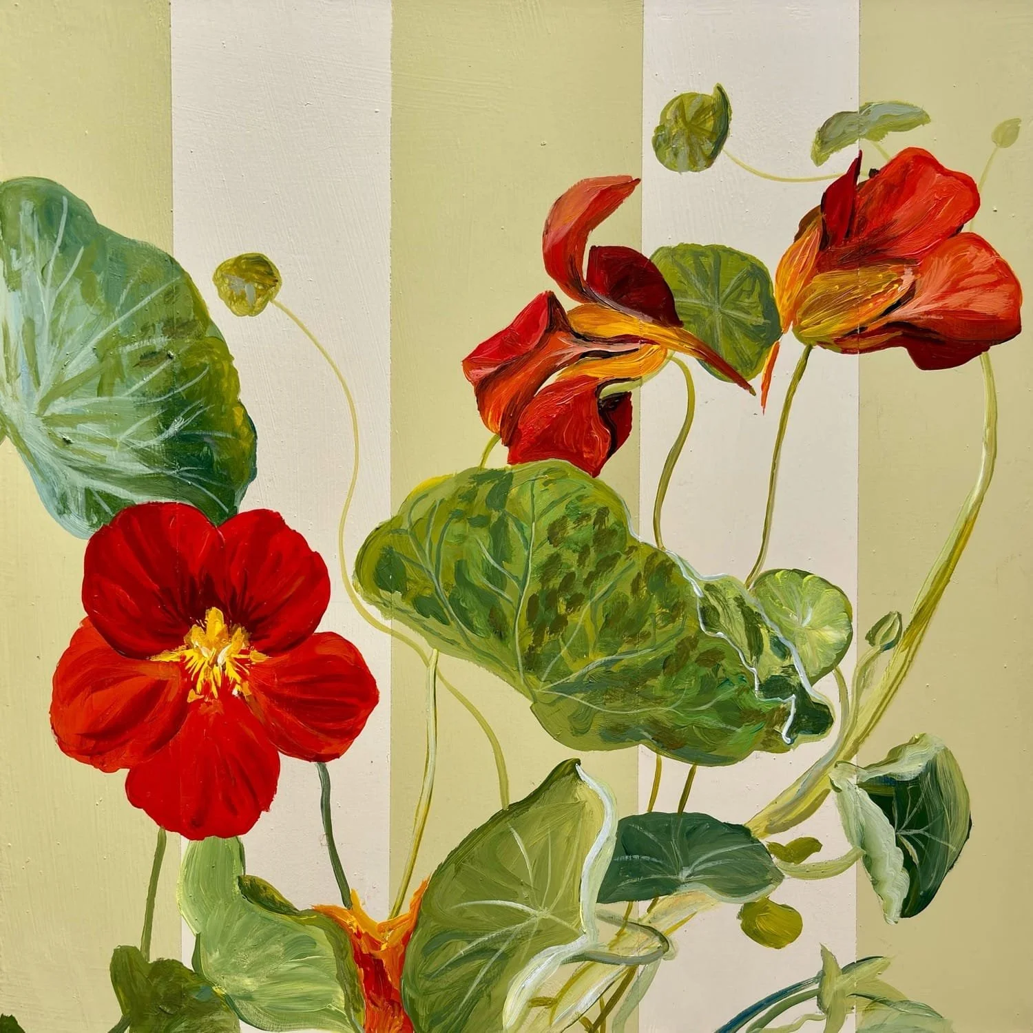 Red Nasturtium, by Nay Bellamy