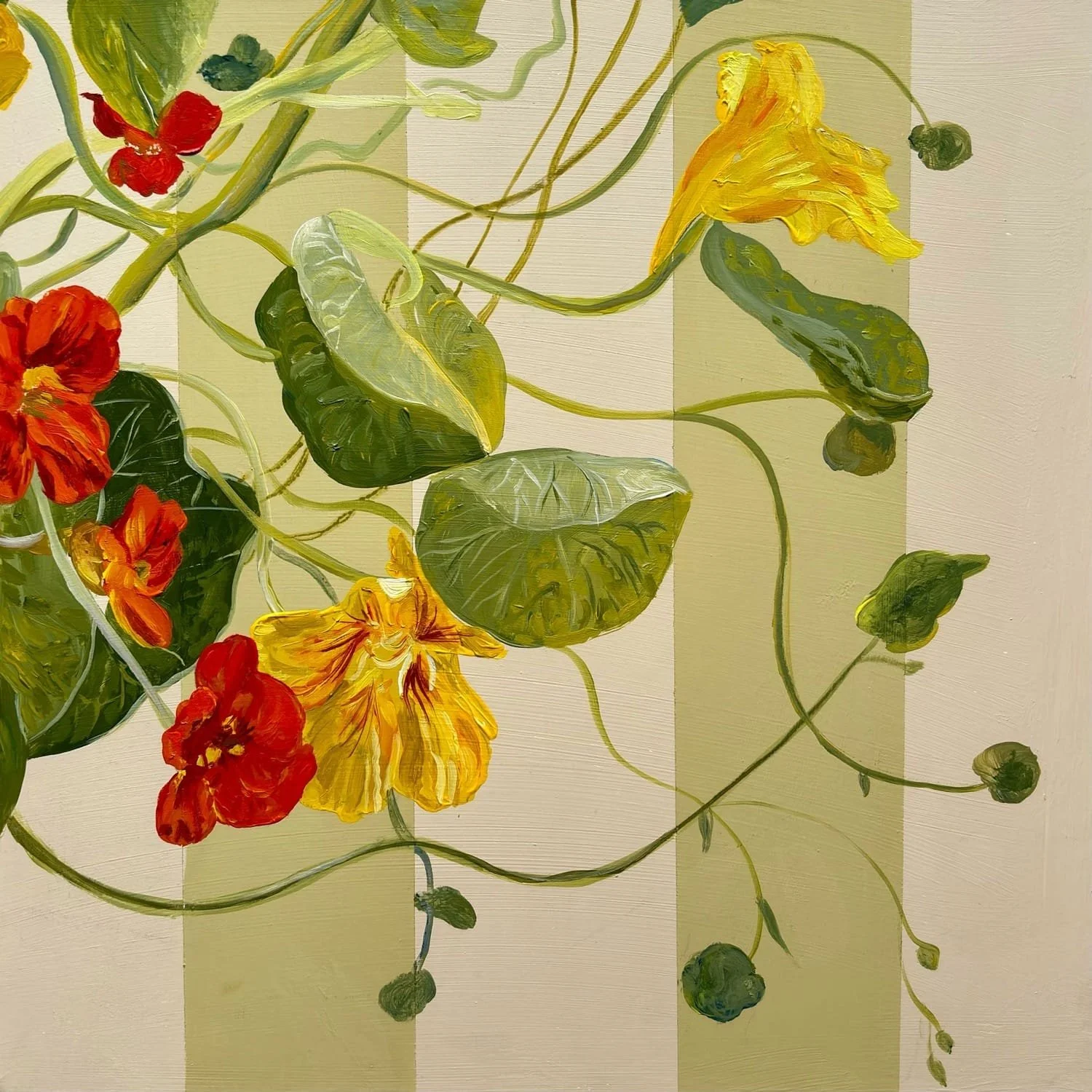 Wild Nasturtium, by Nay Bellamy