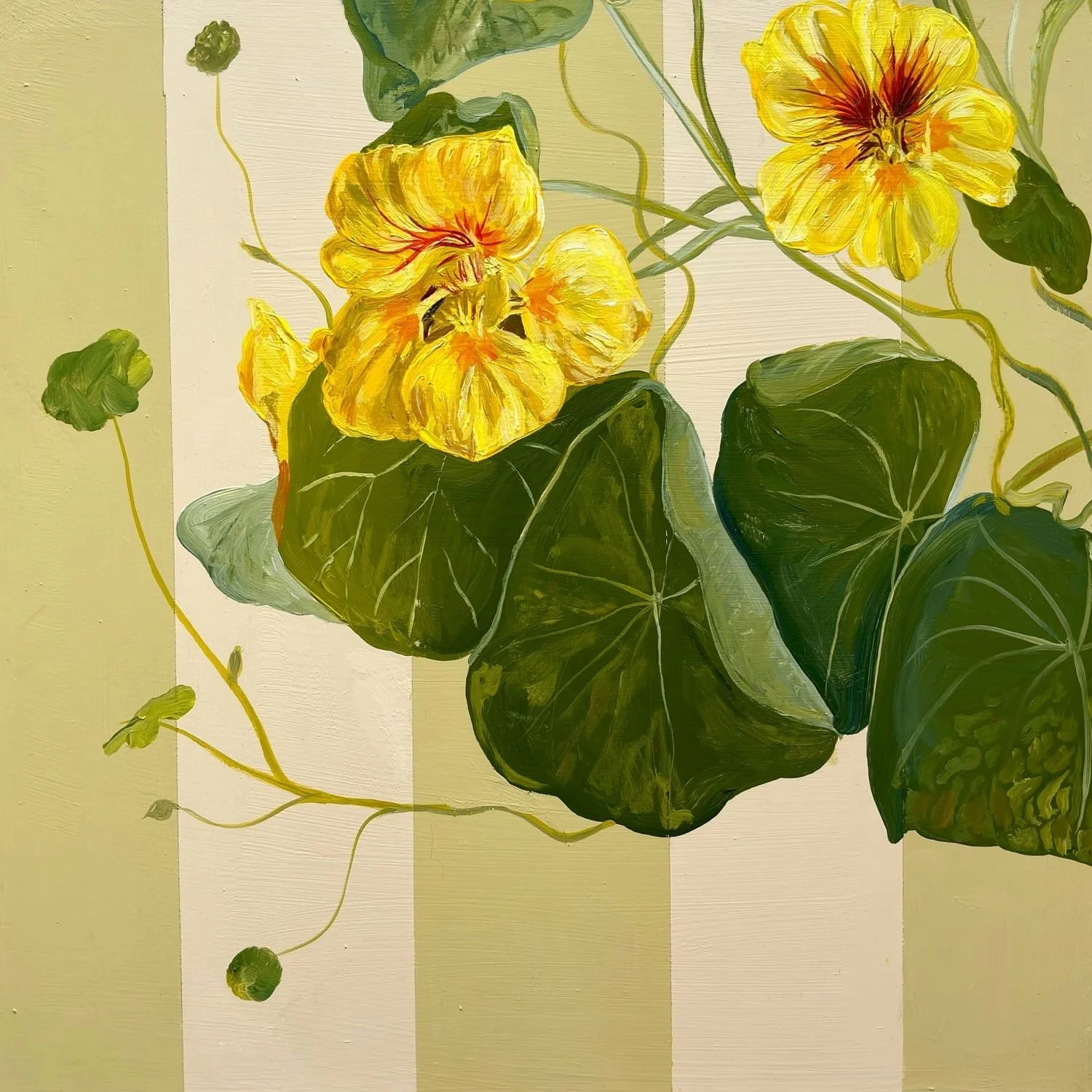Yellow Nasturtium, by Nay Bellamy