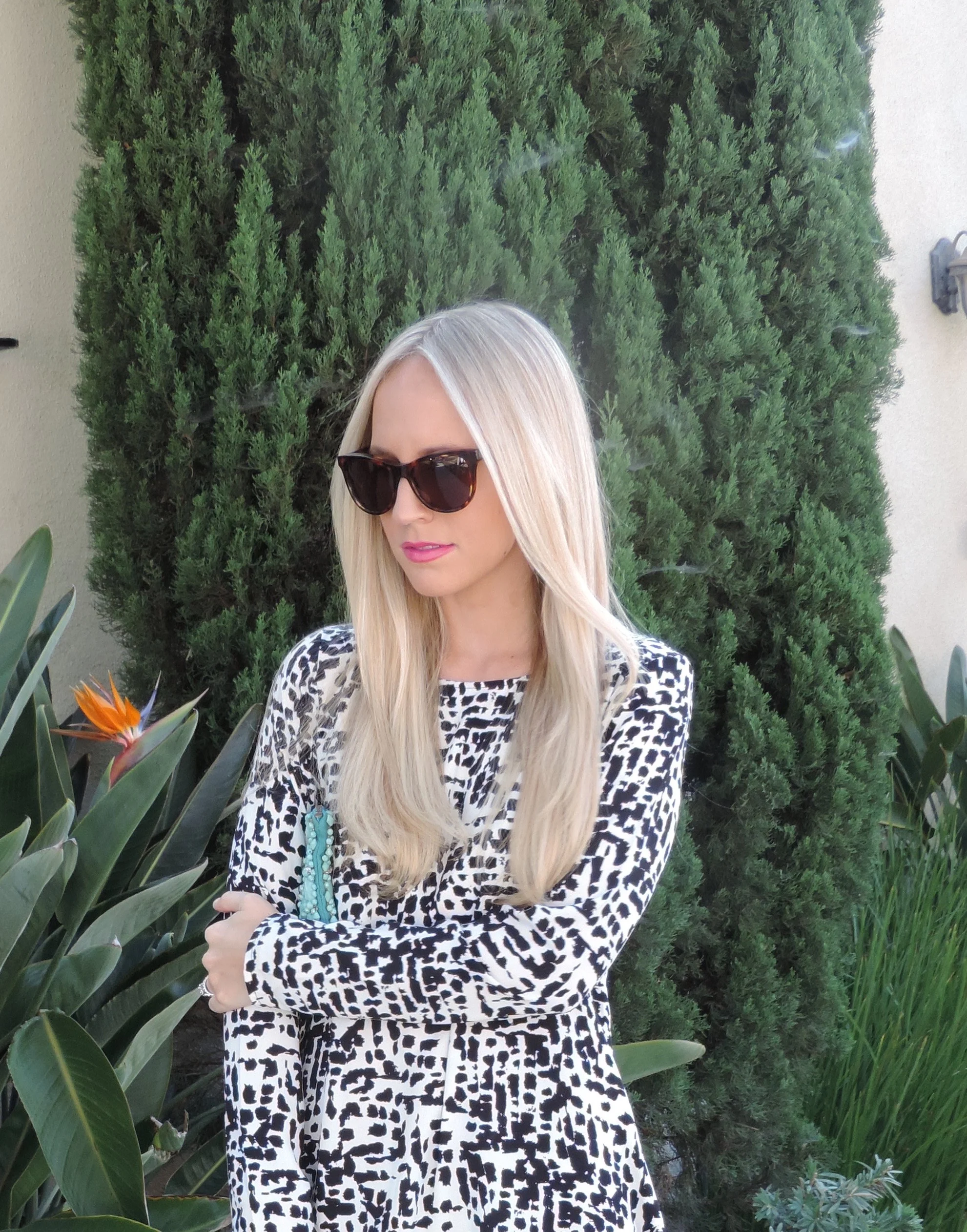 Sunglasses: Wildfox