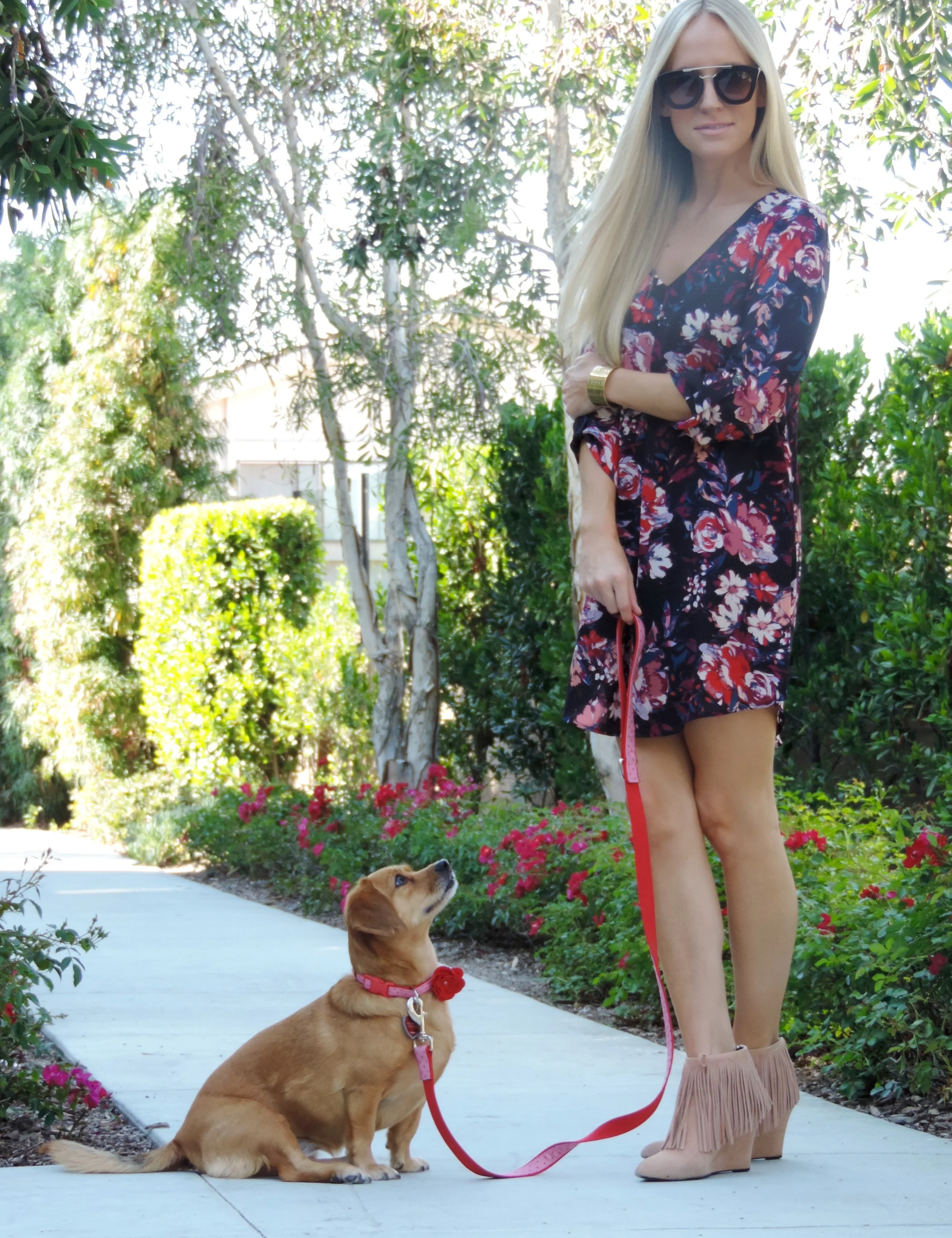 Dress: Nordstrom