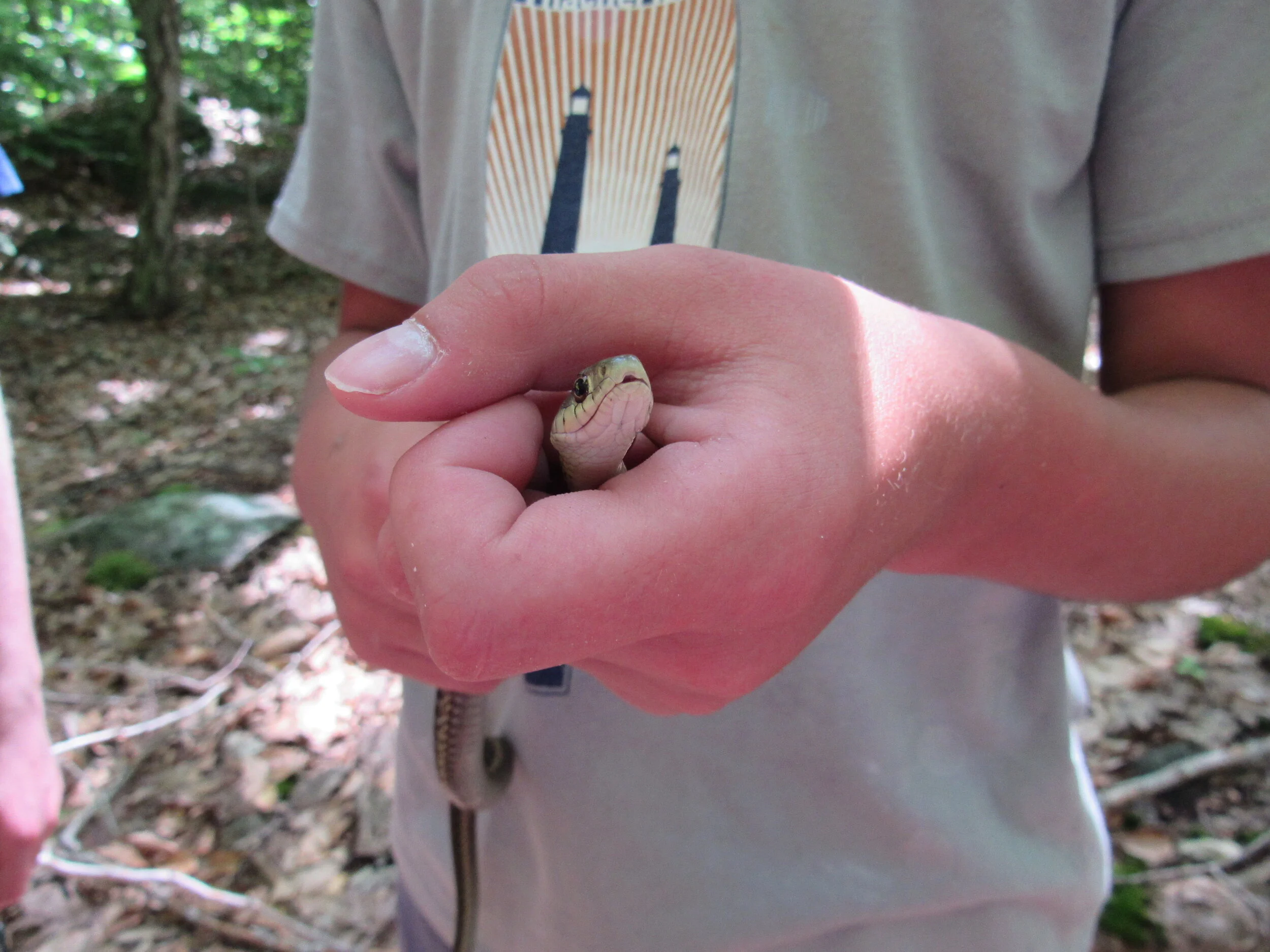 Snake in hand.JPG