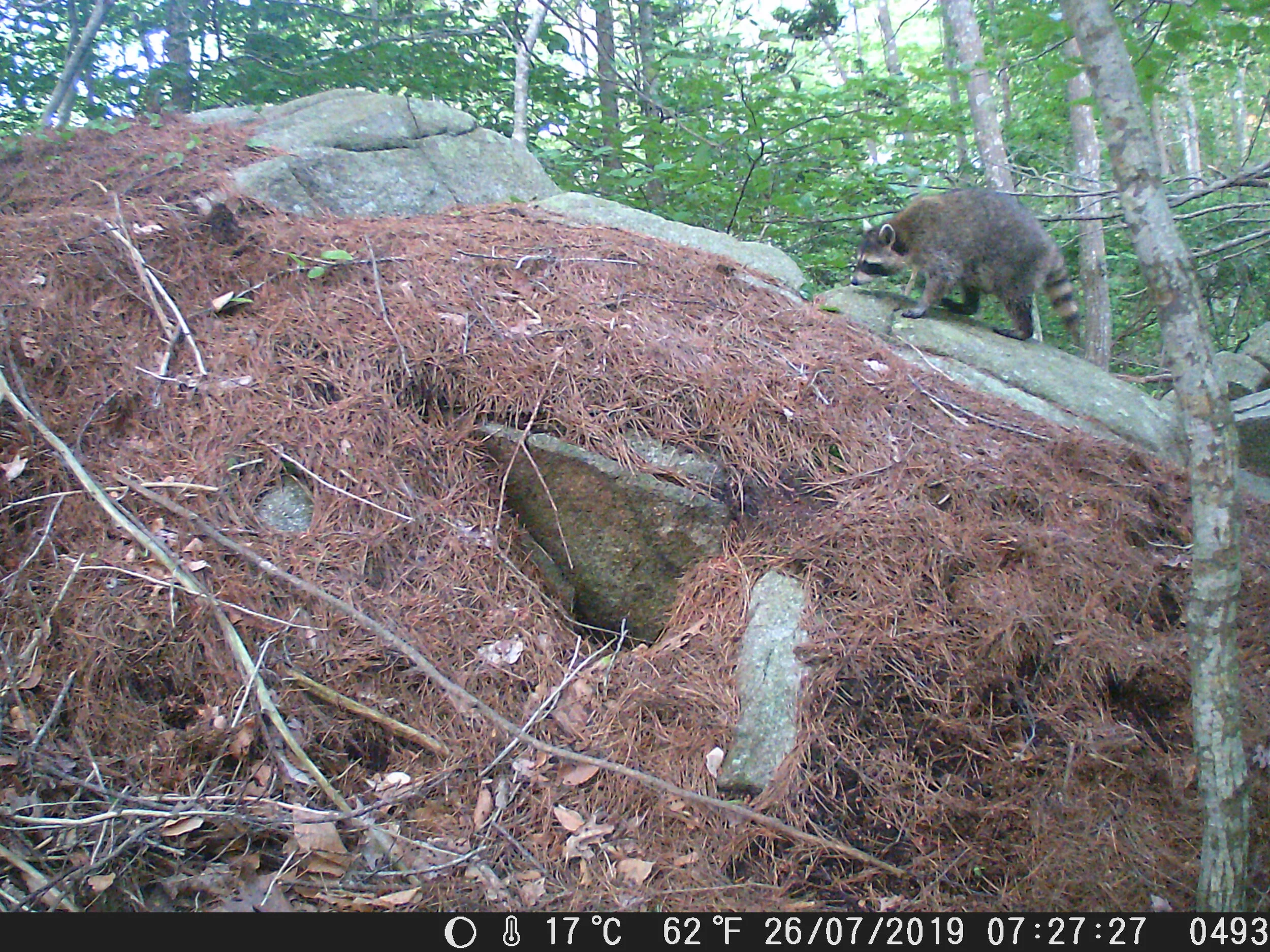DSCF0493.JPG