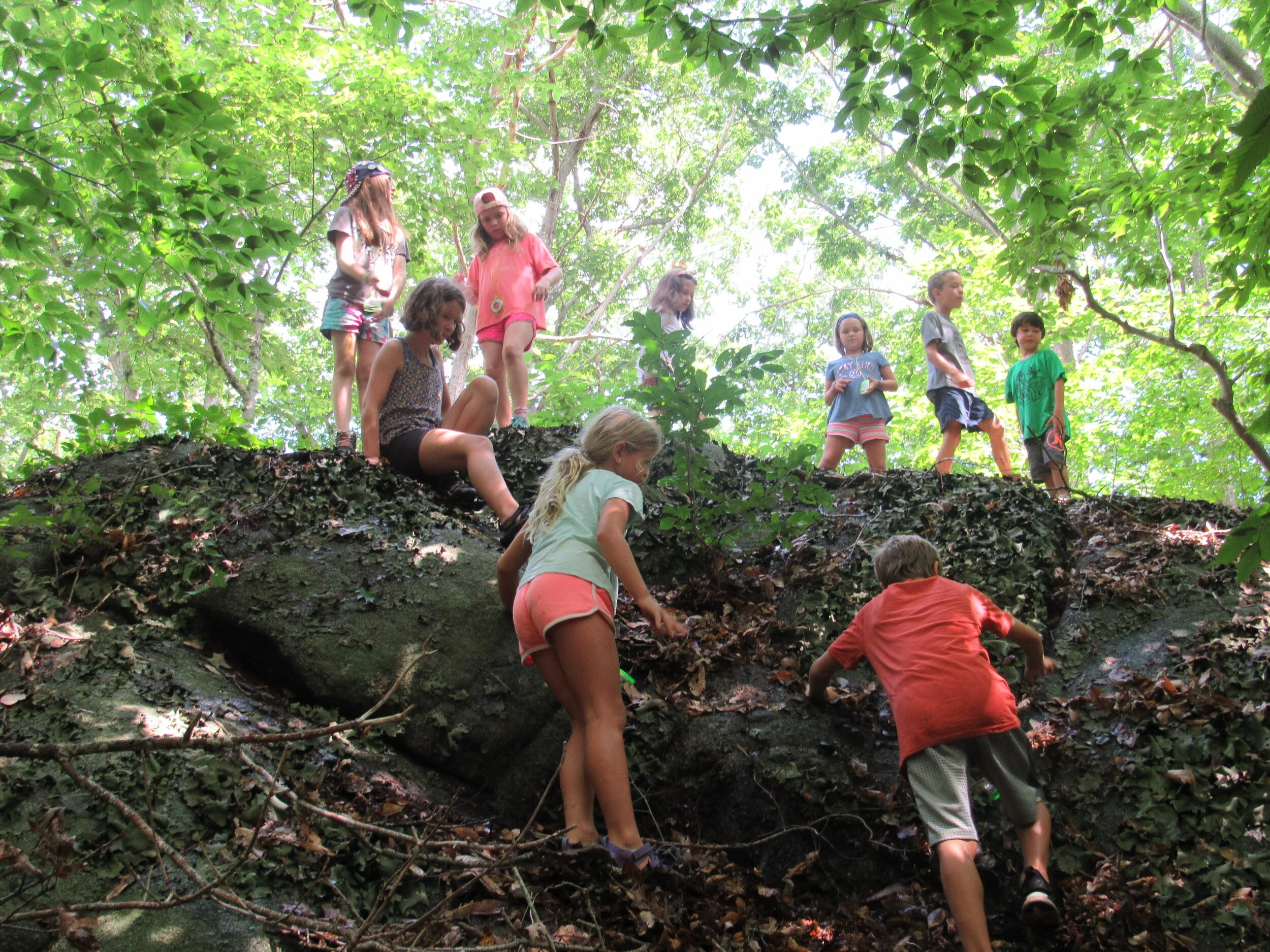 Group scrambling boulders.JPG