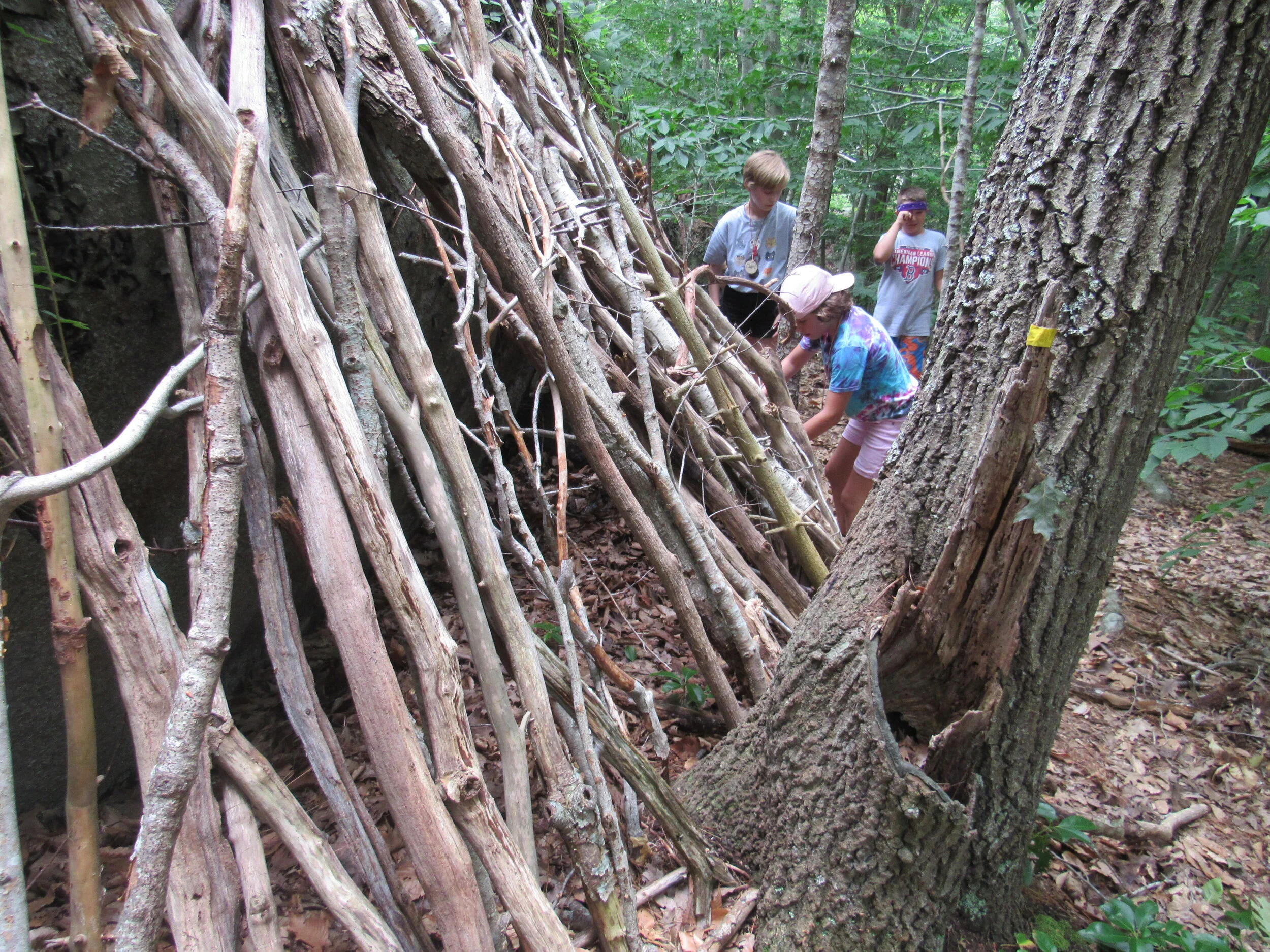 Shelter frame.JPG