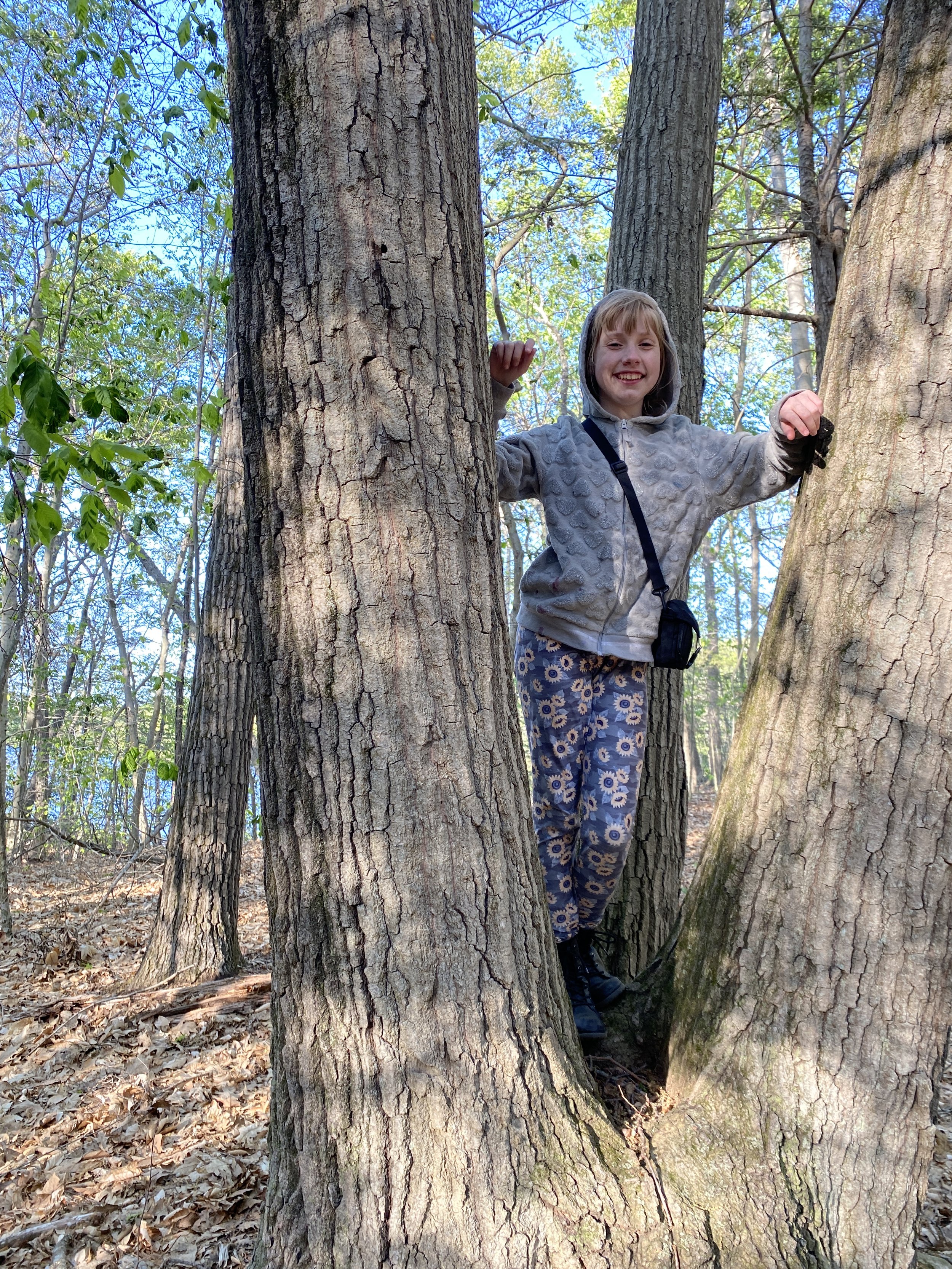 Allysa Climbing a Red Oak.JPG