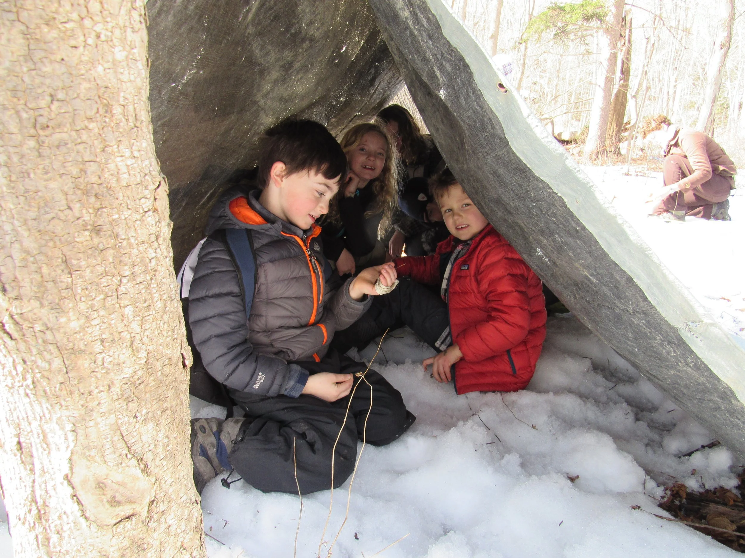 tarp shelter .JPG