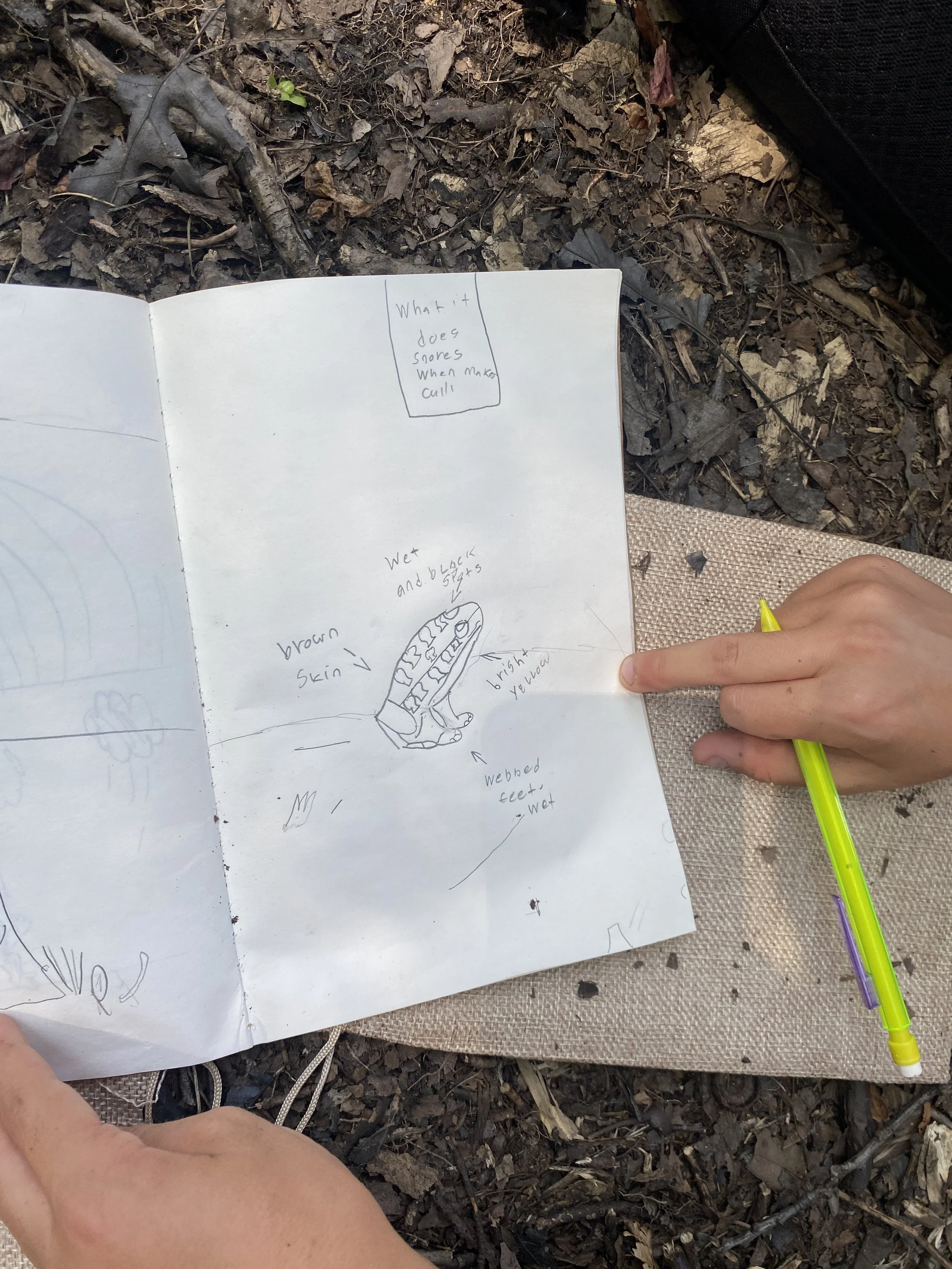 nature journal.JPG