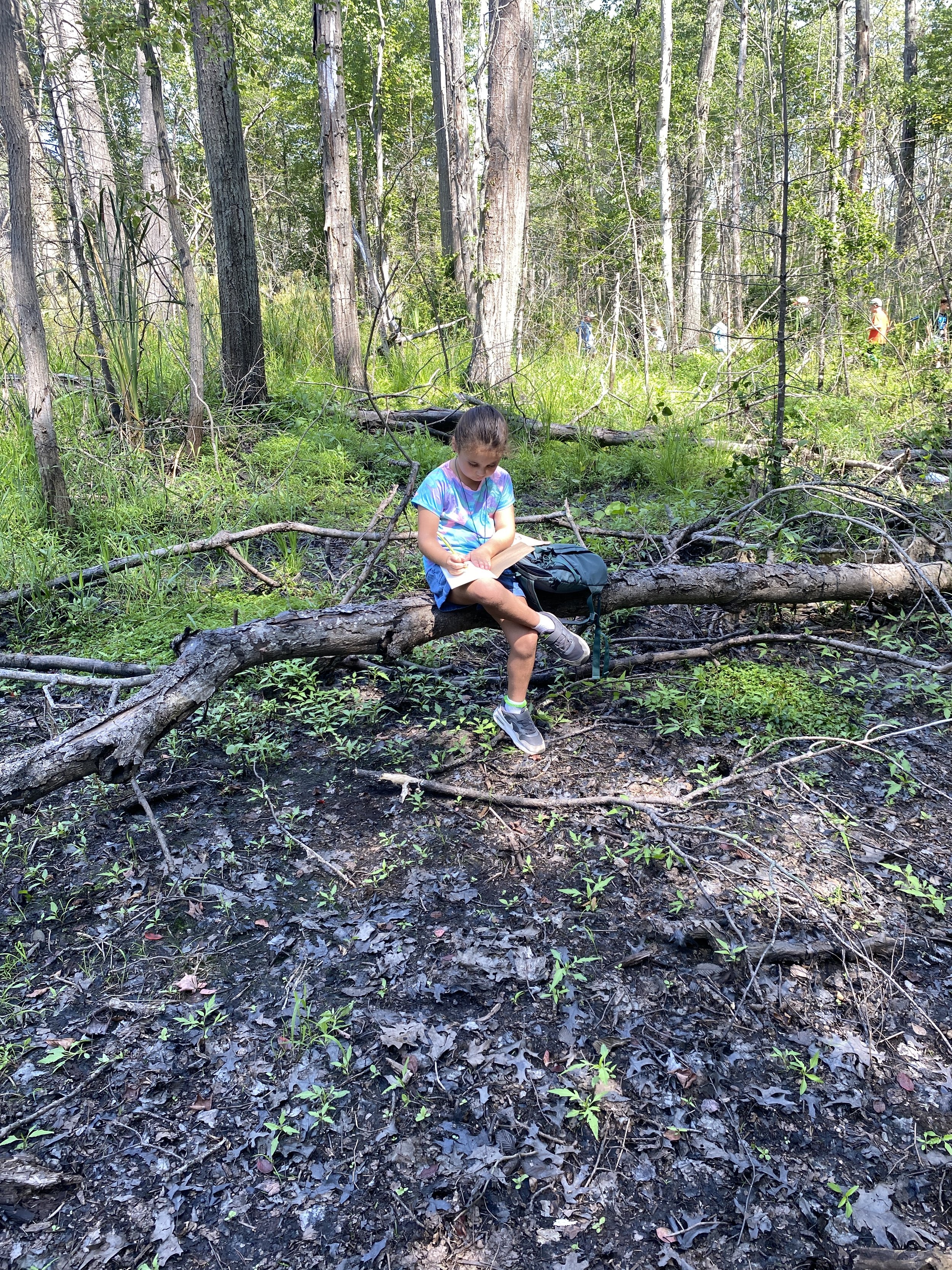 Nature Journaling.JPG