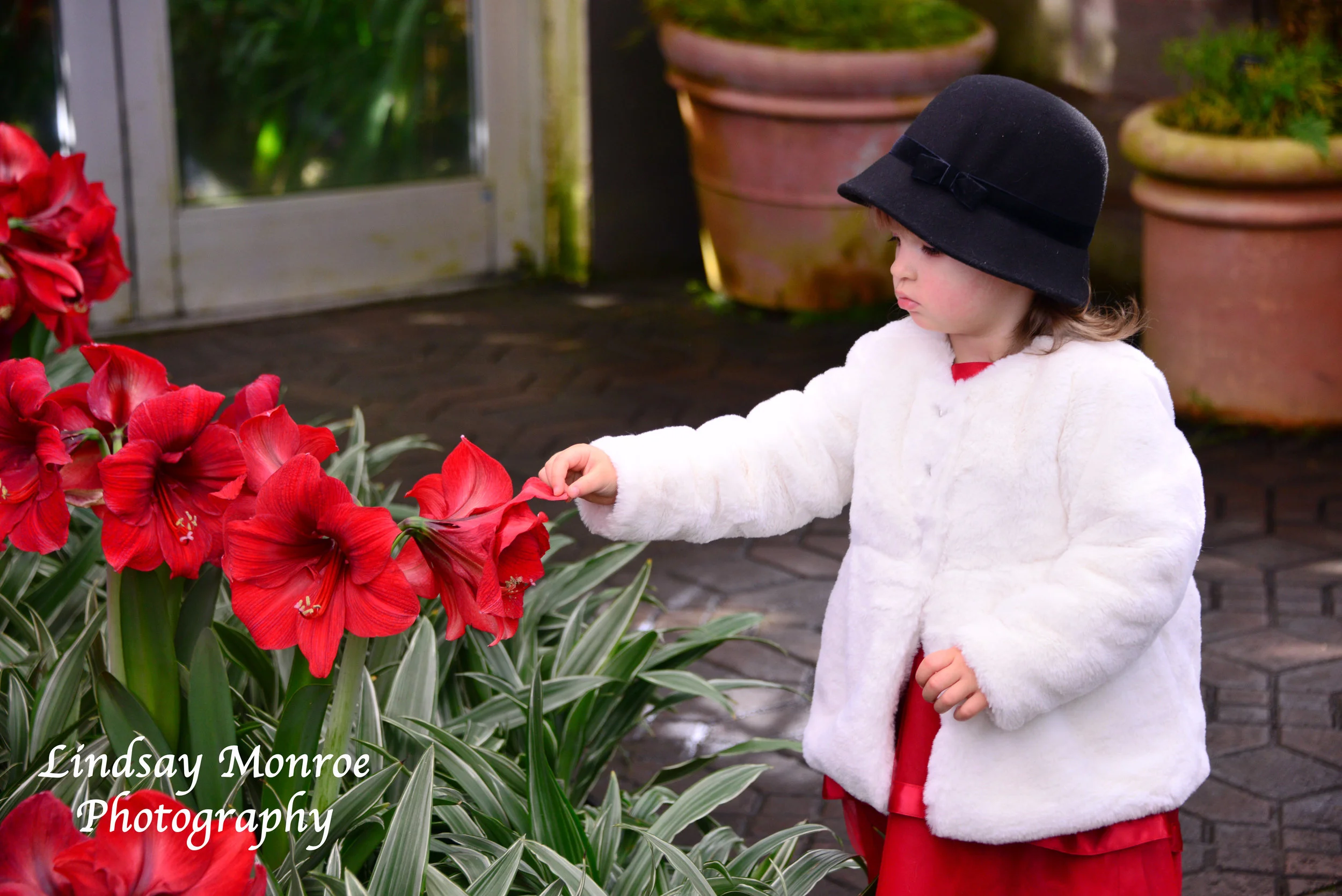 Innocence, Atlanta Botanical Gardens, GA