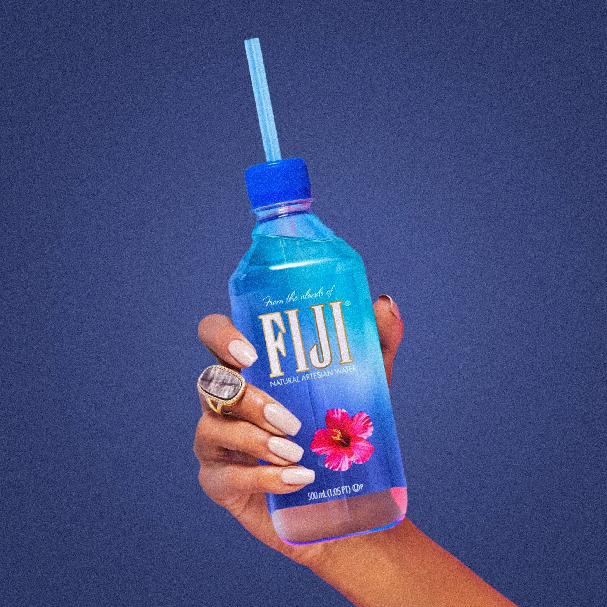 fiji2.jpg