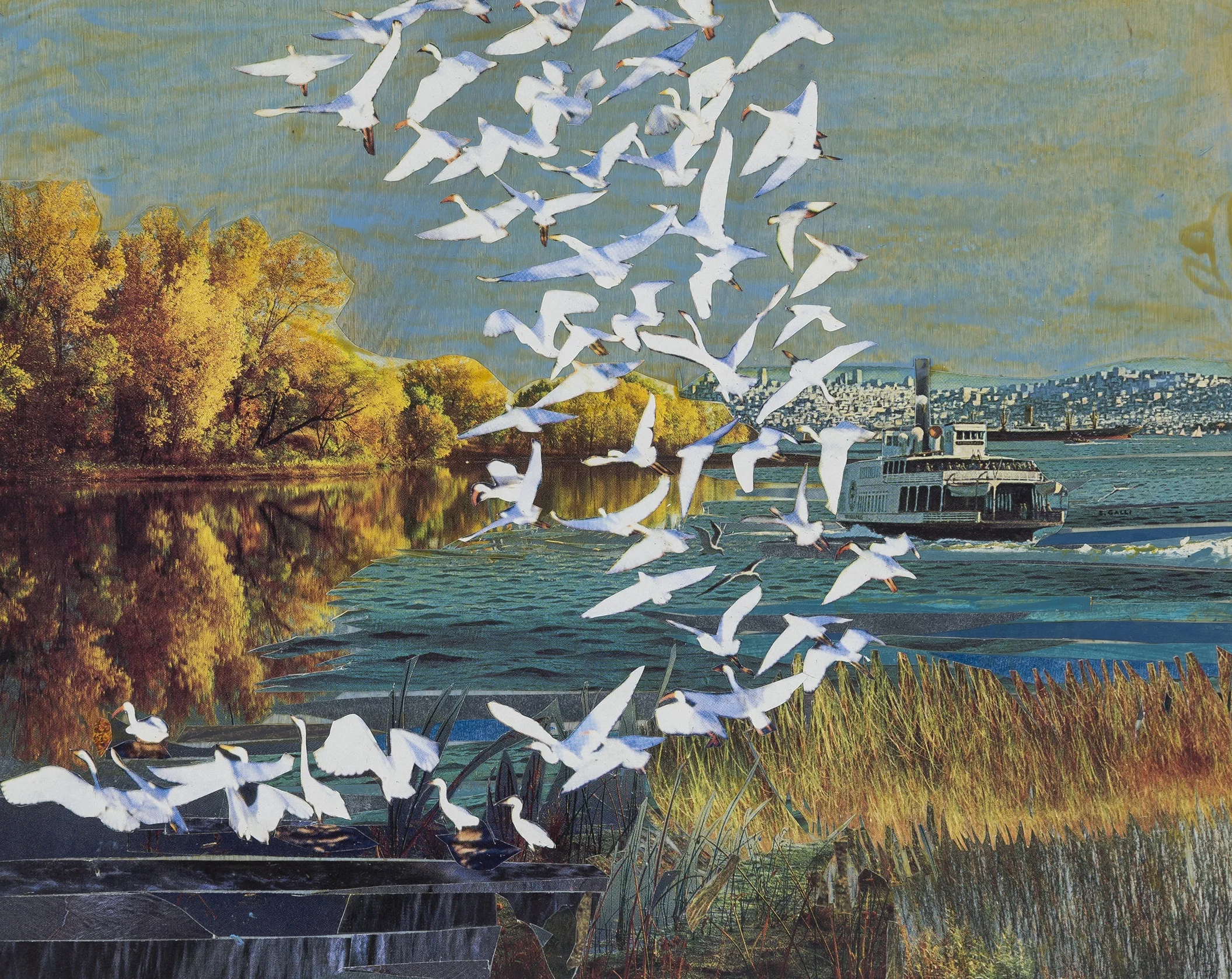Cheryl Molnar: Unnatural Landscapes 