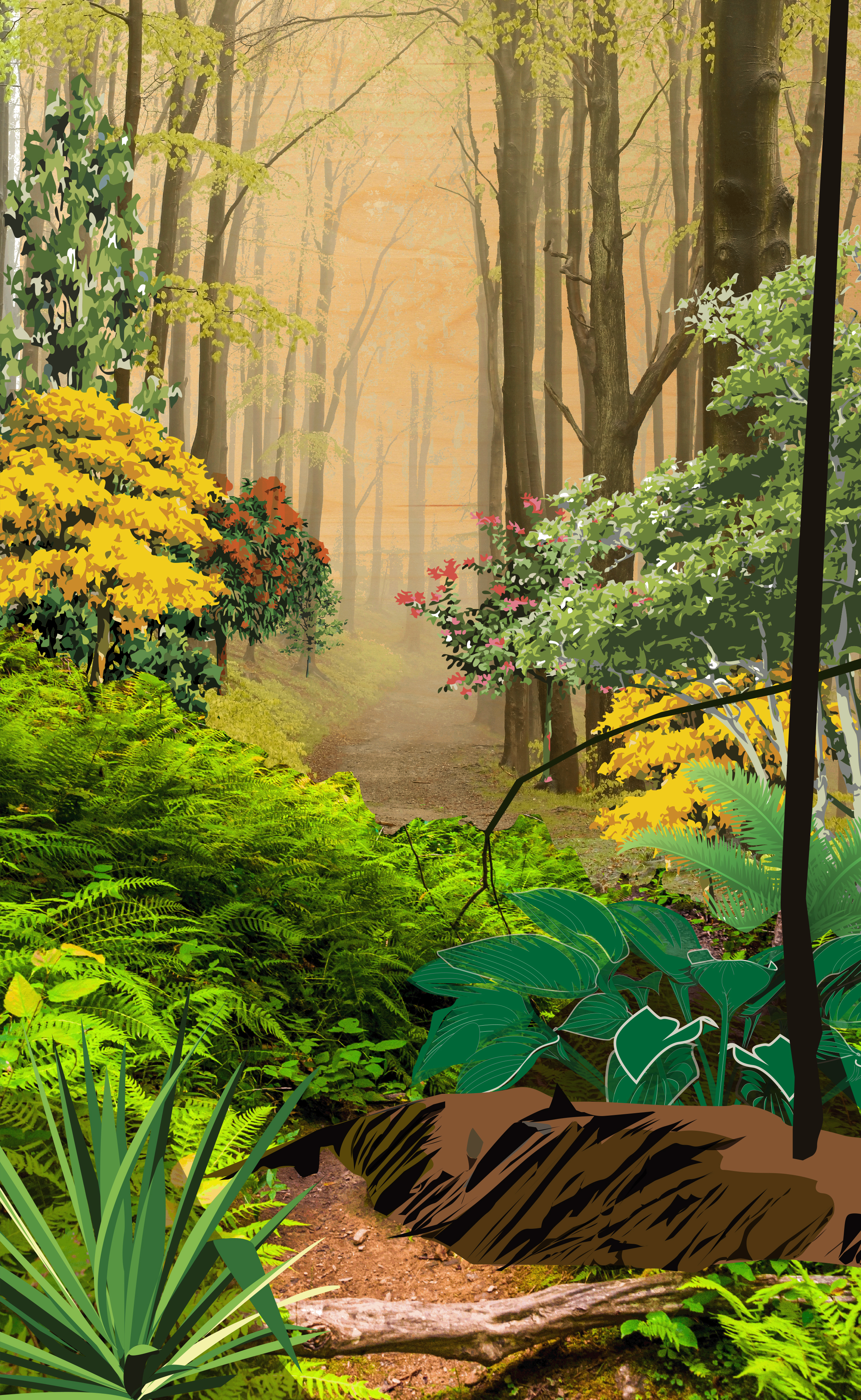 palm_landscape.jpg