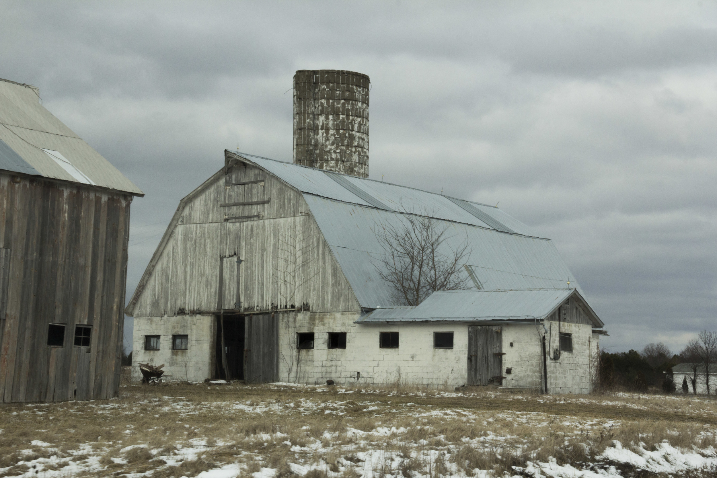 _MG_3567-Edit.jpg