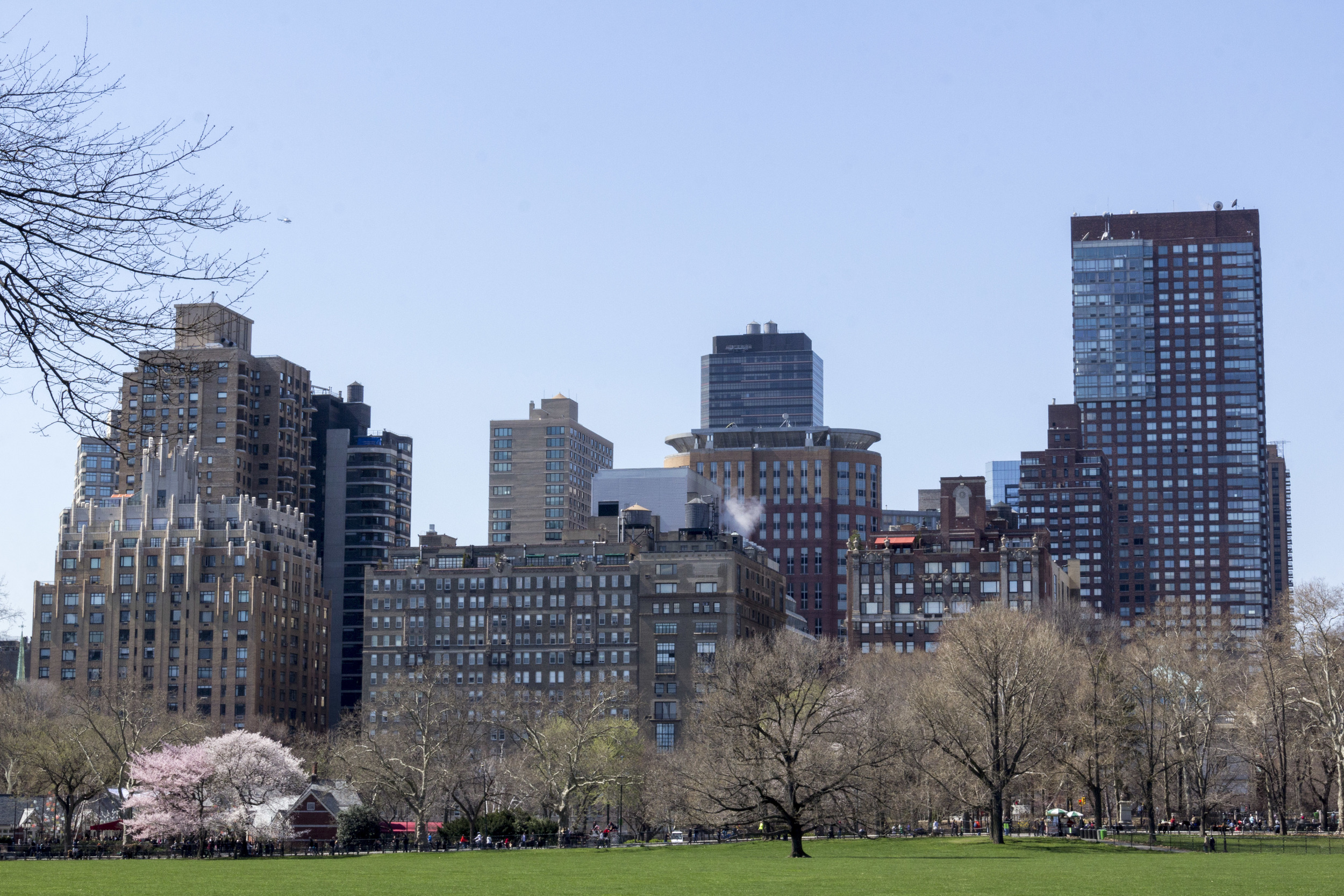 _MG_4104.jpg