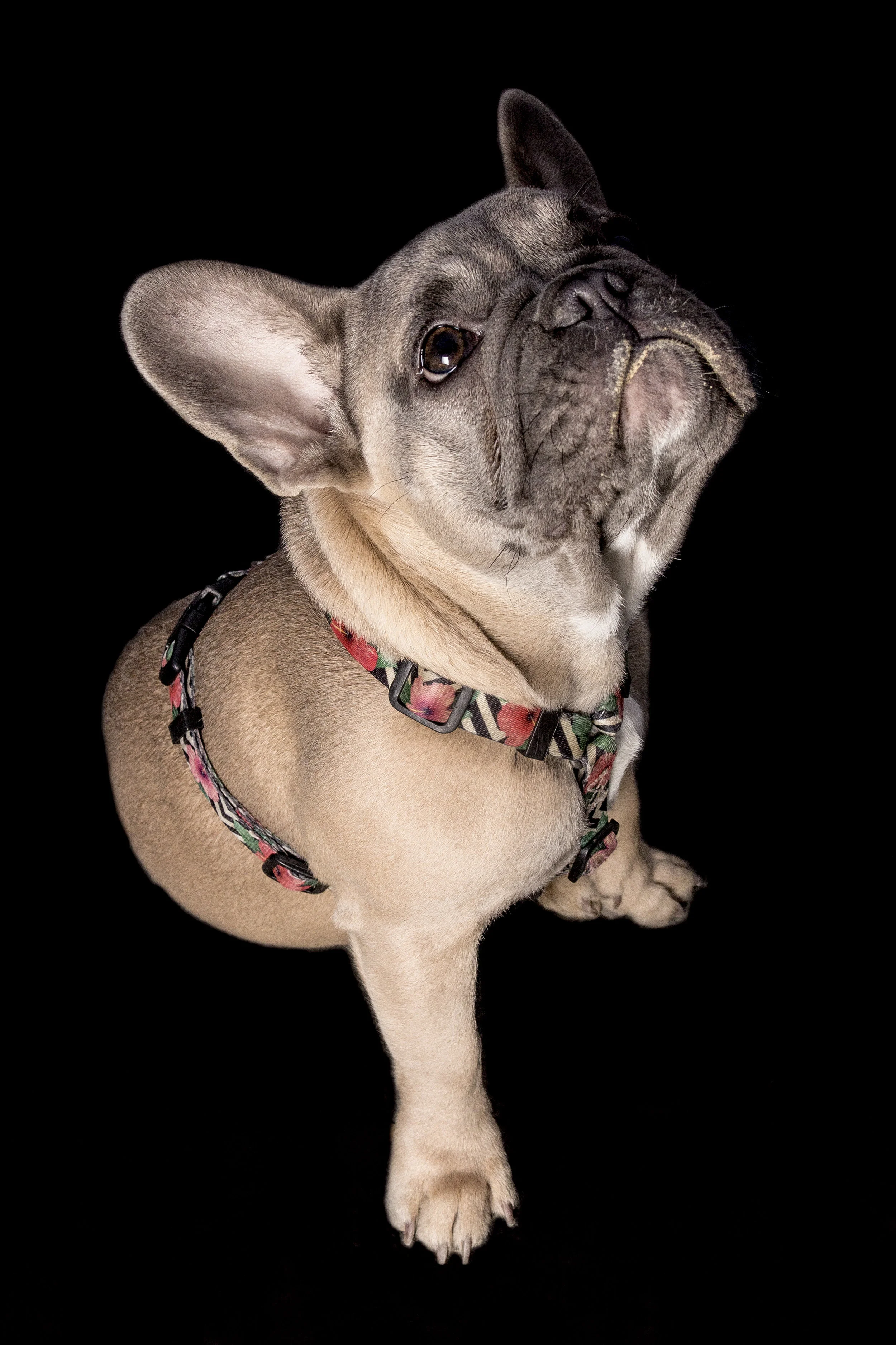 _MG_0774-Edit-Edit-4.jpg
