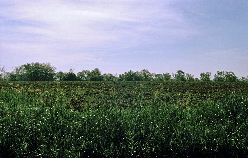 ohio color 33-2.jpg