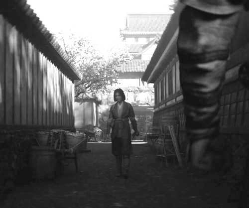 Assassins-Creed-Shadows-Strike-As-One.gif