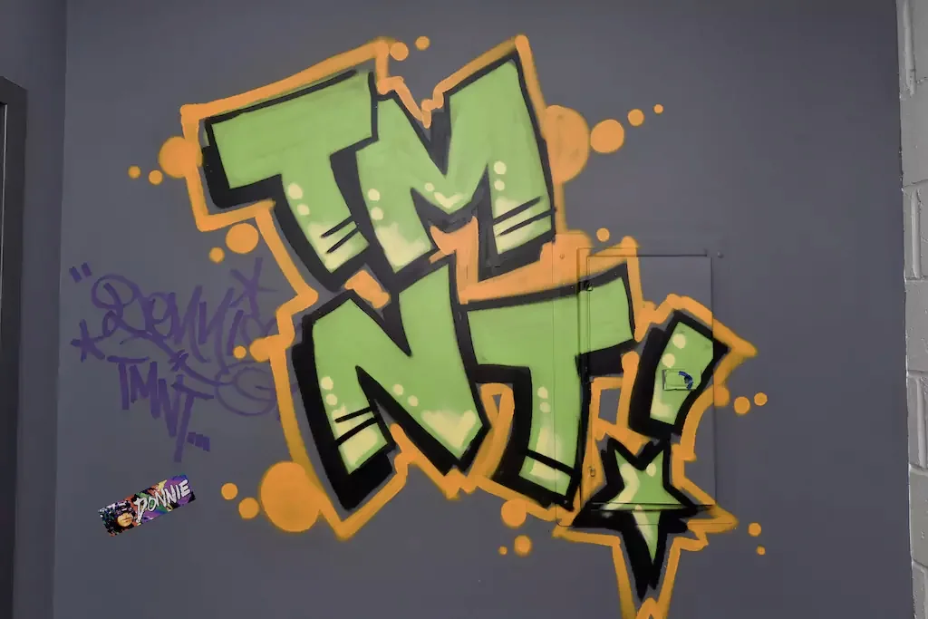 Teenage Mutant Ninja Turtles