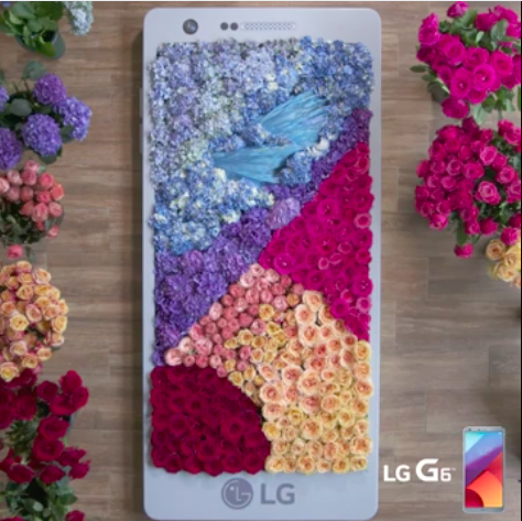 LG FLOWER PHONE.png
