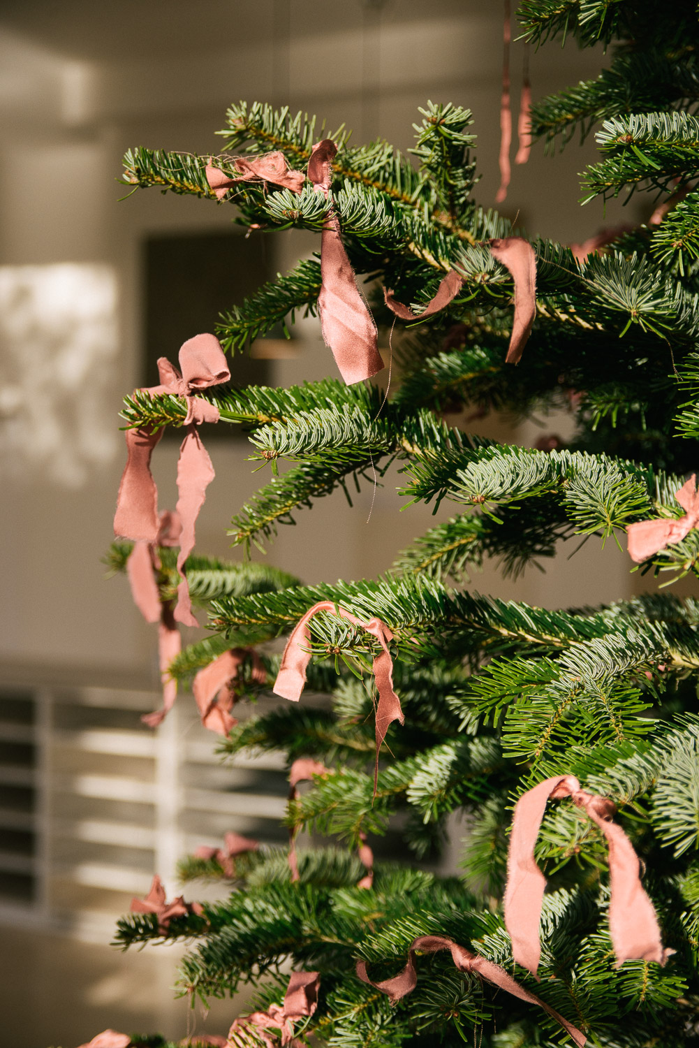 Our beautiful Christmas tree at Cotes Mill