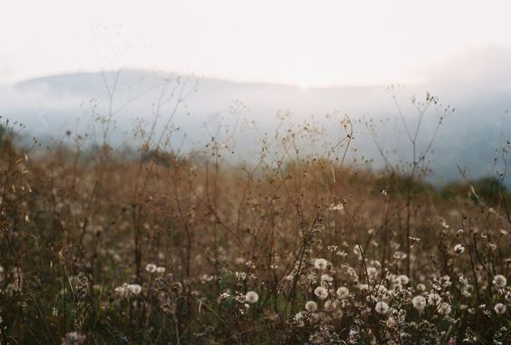 Wrestling with Being Loved | The Easter Week Series