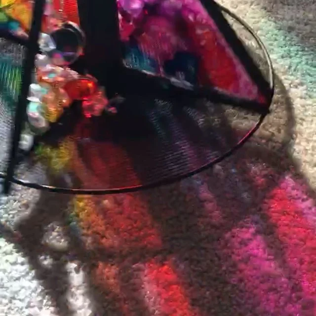 12905277_1605187159800118_1289273116_n.jpg