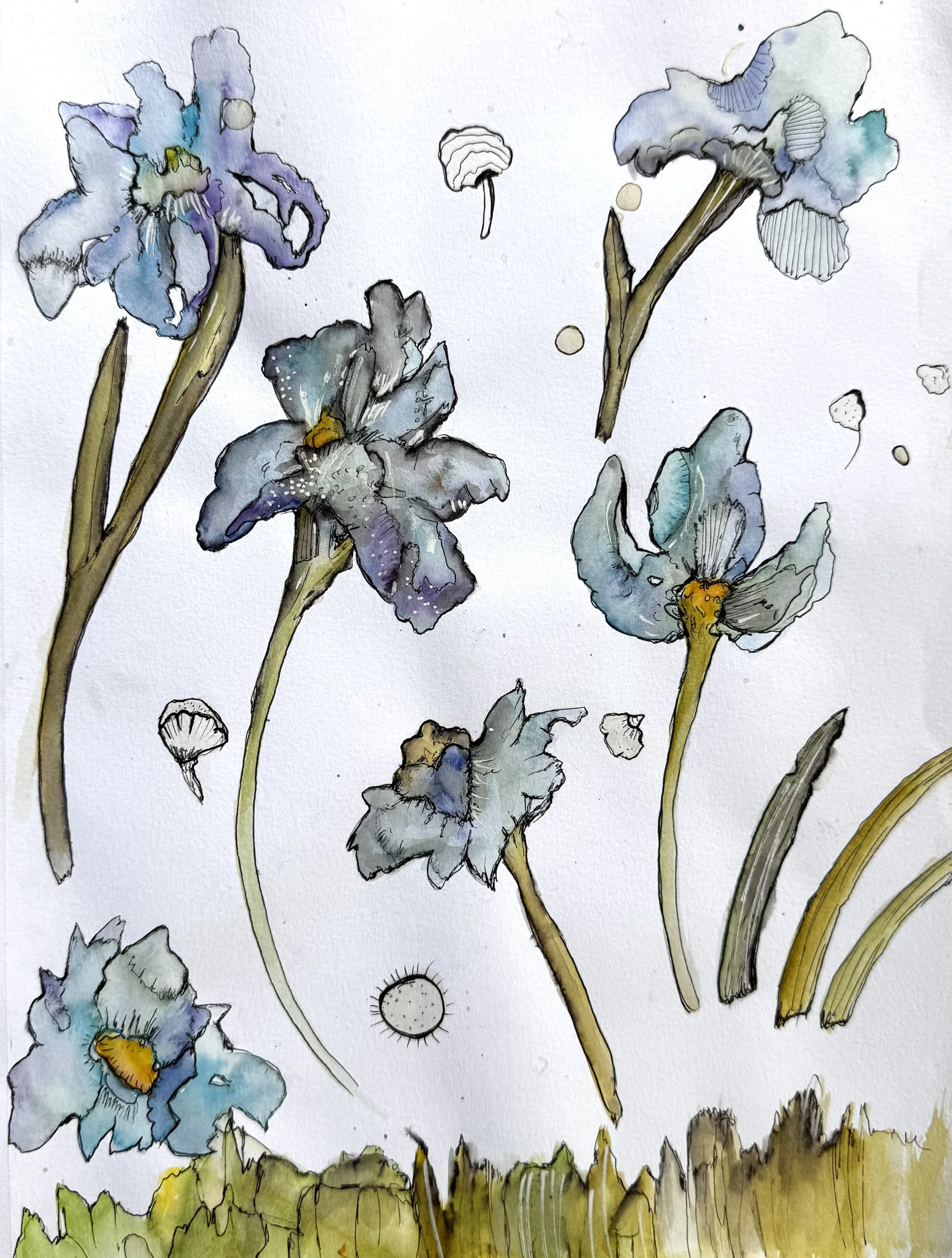 blue flowers.jpg